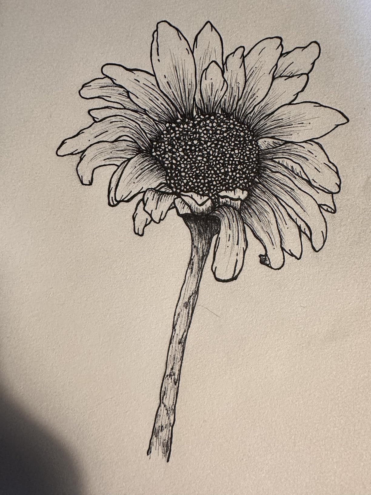 SAKURA Pigma Micron Fineliner Pens - Archival Black Ink Pens - Pens for Writing, Drawing, or Journaling - Assorted Point Sizes - 6 Pack customer photo 2