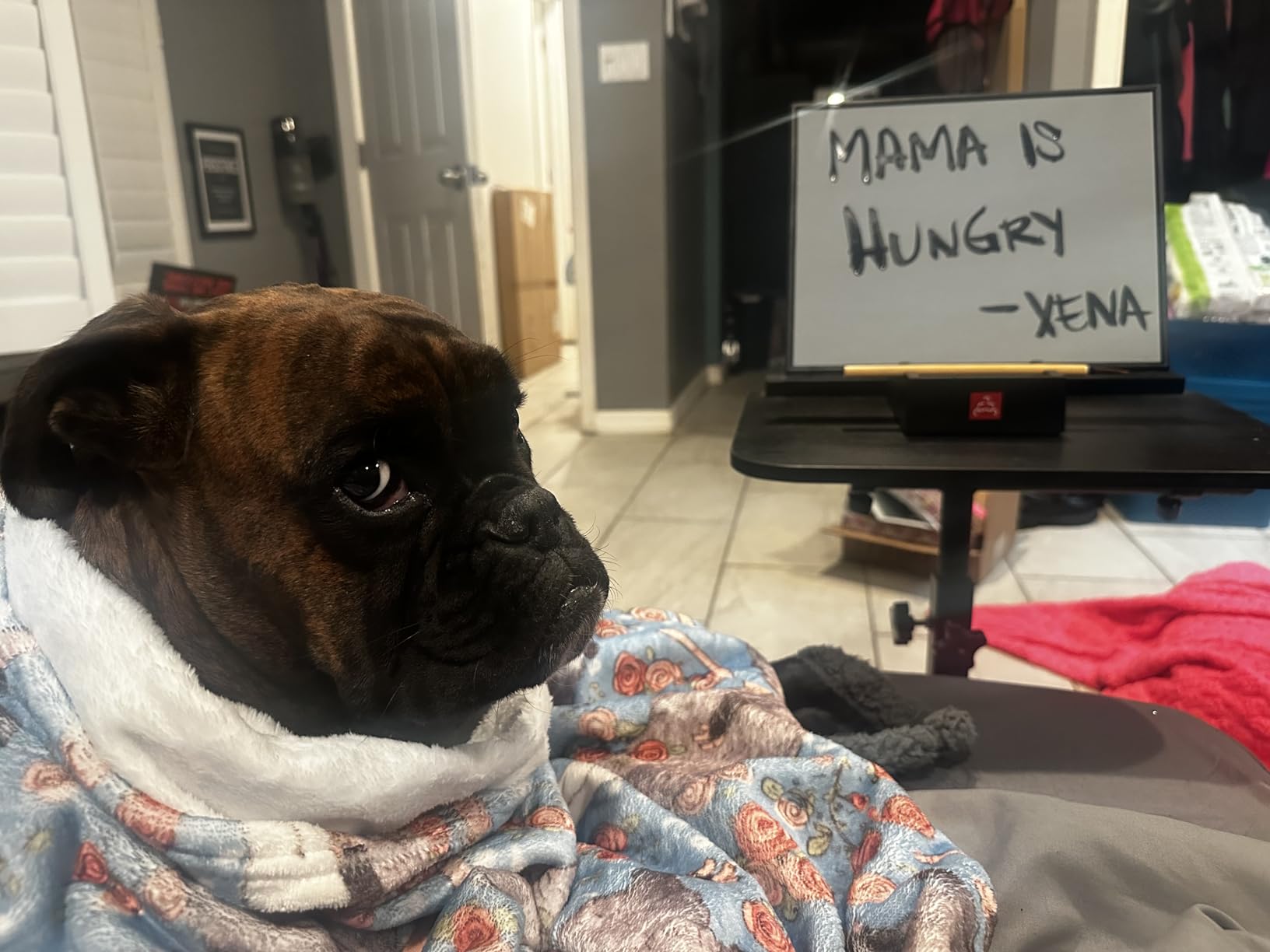 Buddha Board - The Original Water Painting Board for Mindfulness & Creativity - Unique Gift for Artists, Adults & Kids - Mess-Free Zen Art Supplies customer photo 2