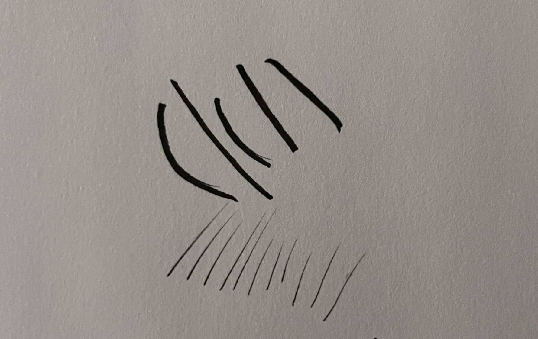 Kuretake Bimoji Brush Pen, 5 pcs set (Extra Fine, Fine, Medium, Large, Medium Brush), great for Calligraphy, Hand lettering and Illustration, for Beginners and Professional, Made in Japan customer photo 1