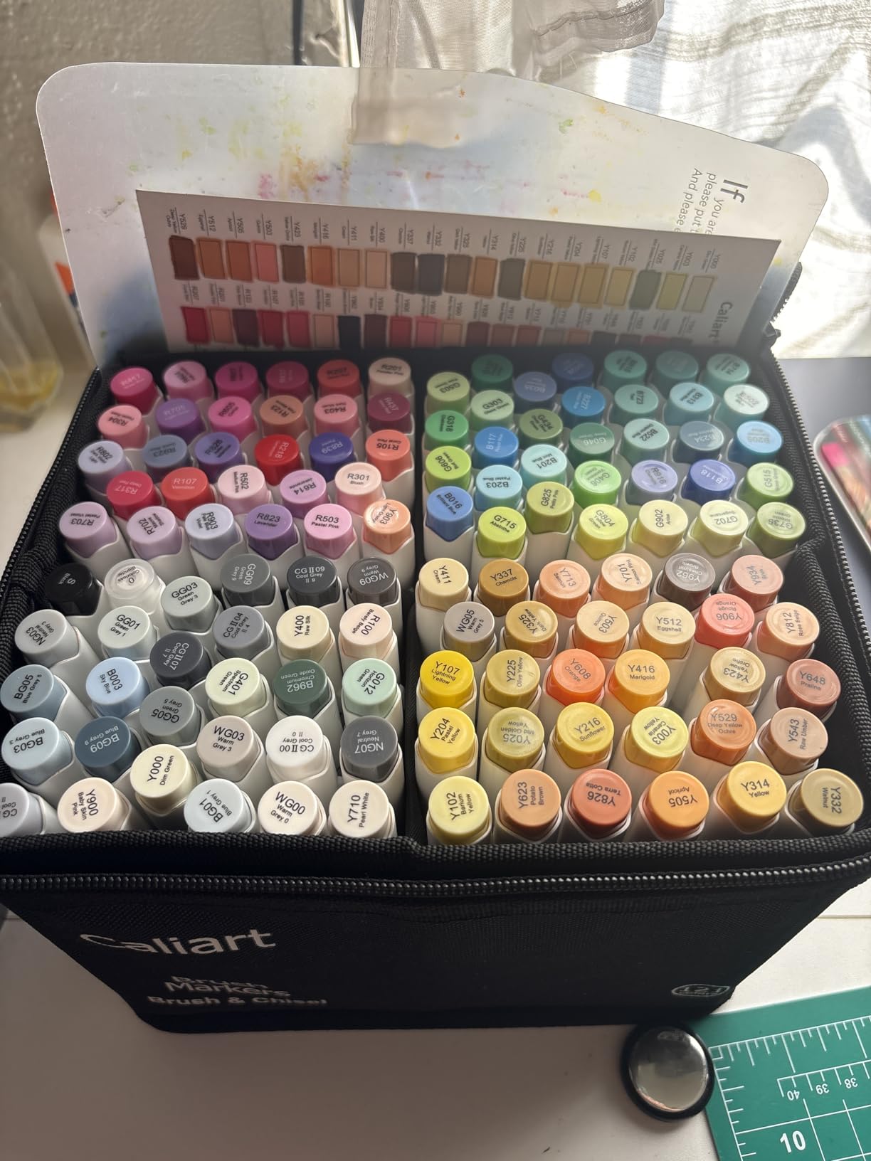 Caliart Alcohol Markers Brush Tip - 121 Colors Dual Tip Art Markers Set for Adult Coloring Books Artist Drawing Illustration Sketching, with Case Permanent Alcohol Based Colored Chisel & Brush Pens customer photo 2