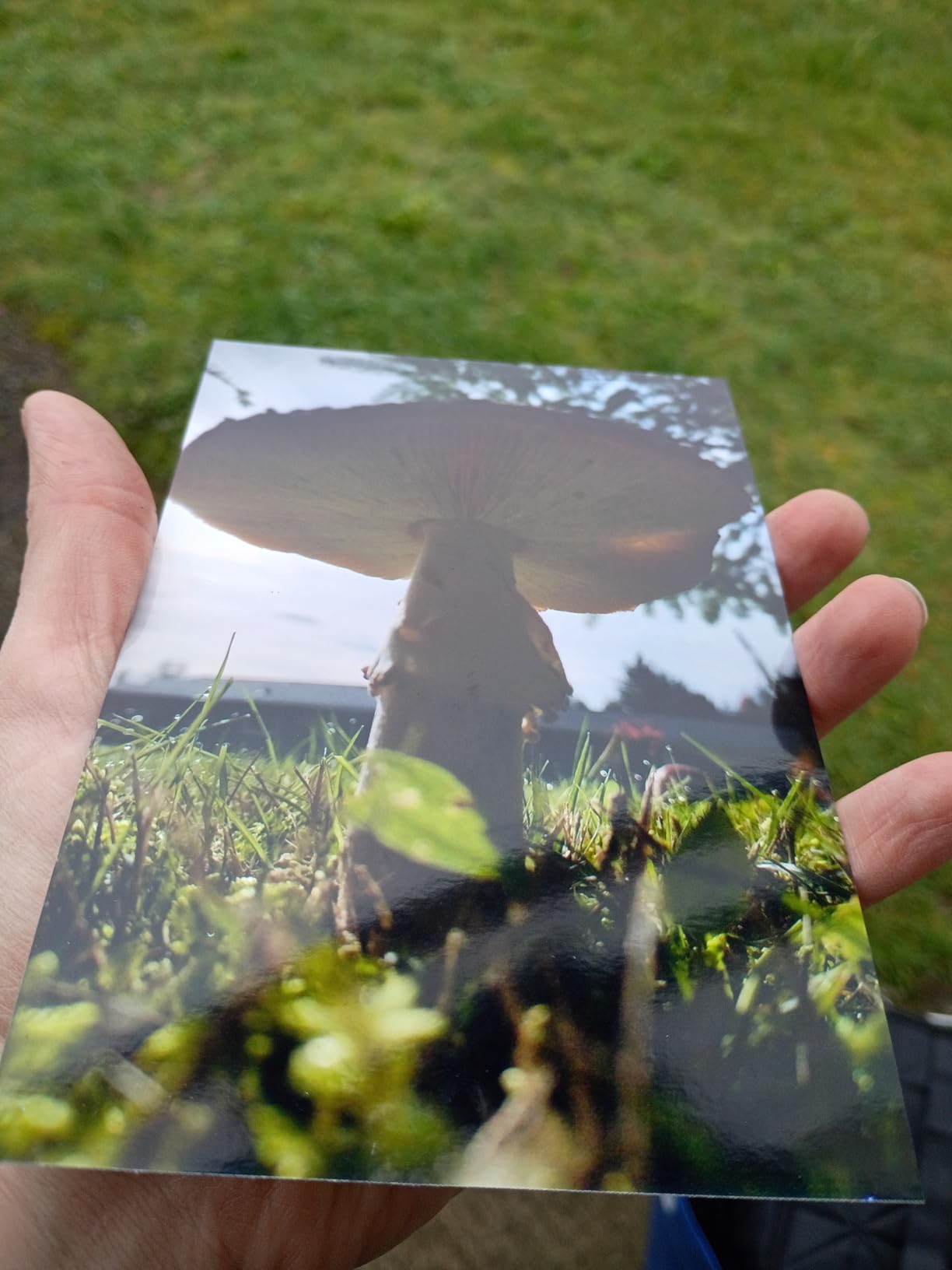 Liene M100 4x6'' Photo Printer, Wi-Fi Picture Printer, 20 Sheets, Full-Color Photo, Instant Phone Printer for iPhone, Android, Smartphone, Thermal Dye Sublimation, Portable Photo Printer for Home Use customer photo 2