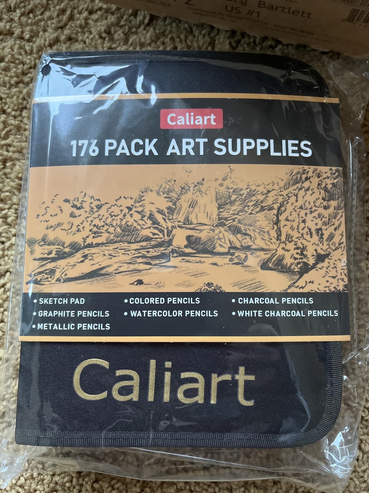 Caliart 176PCS Art Supplies Sketching Kit with 100 Sheets 3-Color Sketch Book, Graphite Colored Charcoal Watercolor & Metallic Pencils, Drawing Set Gifts for Adults Teens Girls Boys Kids customer photo 2