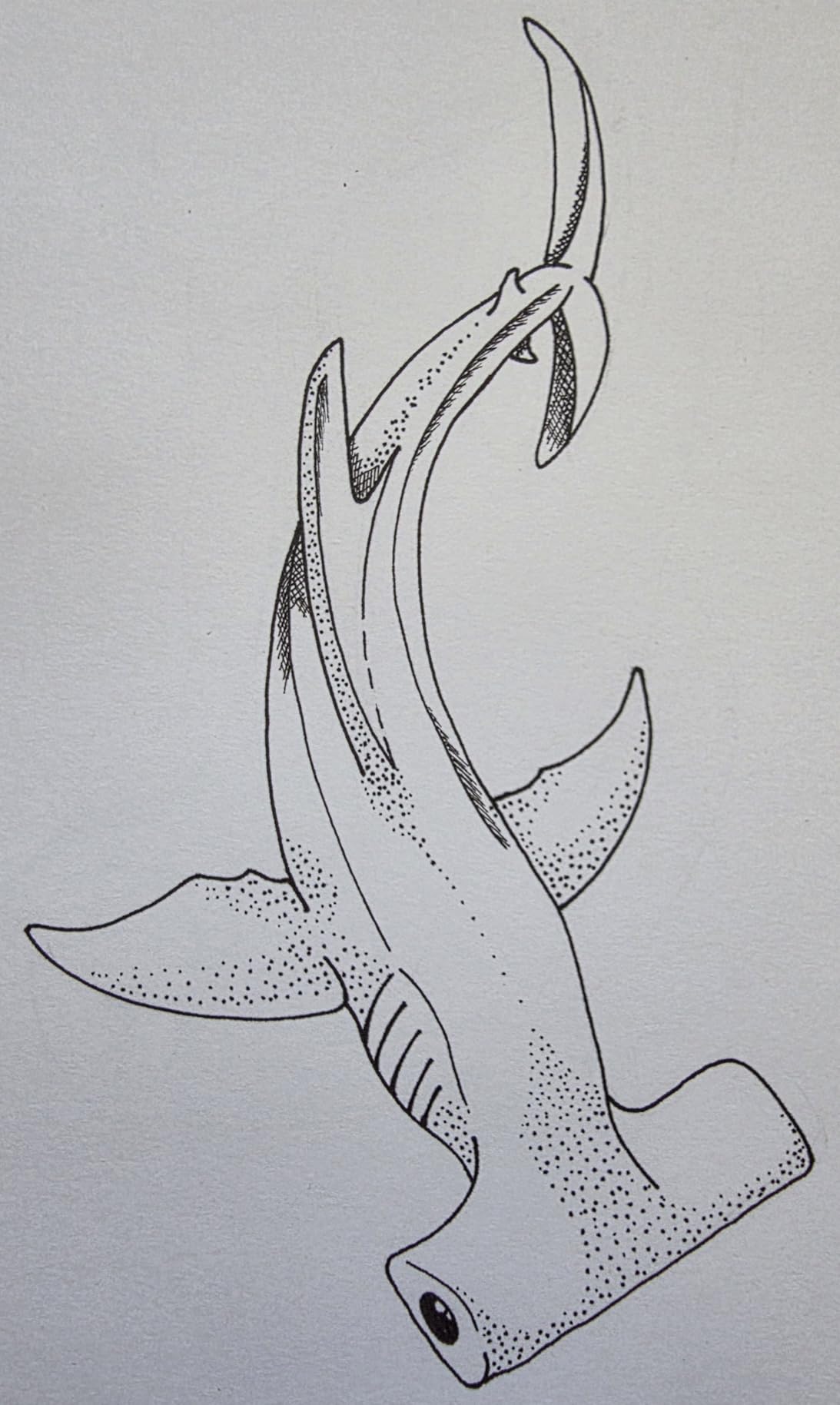 Muchcute Micro Fineliner Drawing Art Pens: 12 Black Fine Line Waterproof Ink Set Artist Supplies Archival Inking Markers Liner Sketch Outline Anime Gifts Manga Sketching Watercolor Zentangle Kit Stuff customer photo 1