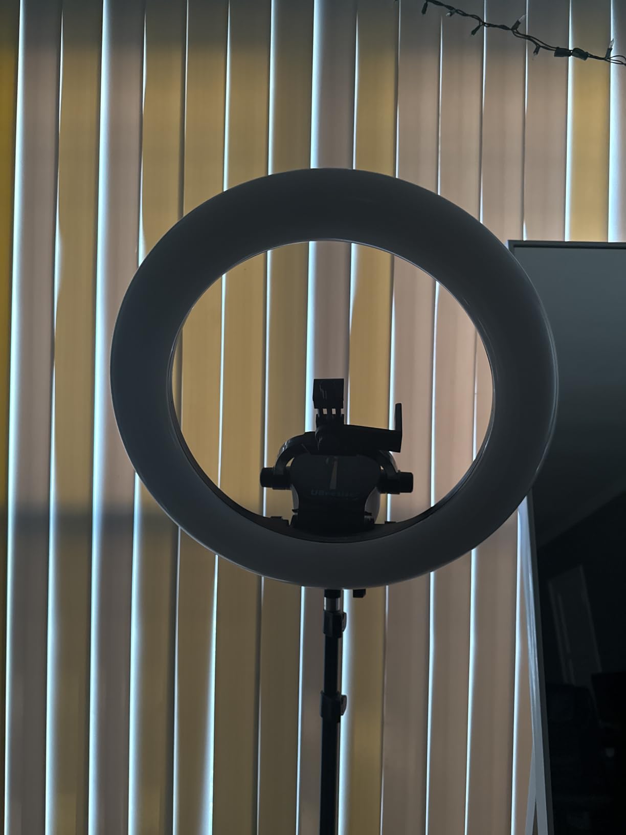 UBeesize 22'' Ring Light with 72'' Stand, 60W Large Ring Light with Phone Holder, Dimmable LED Light for Makeup Barber Stylist Tattoo YouTube TikTok Photography customer photo 1