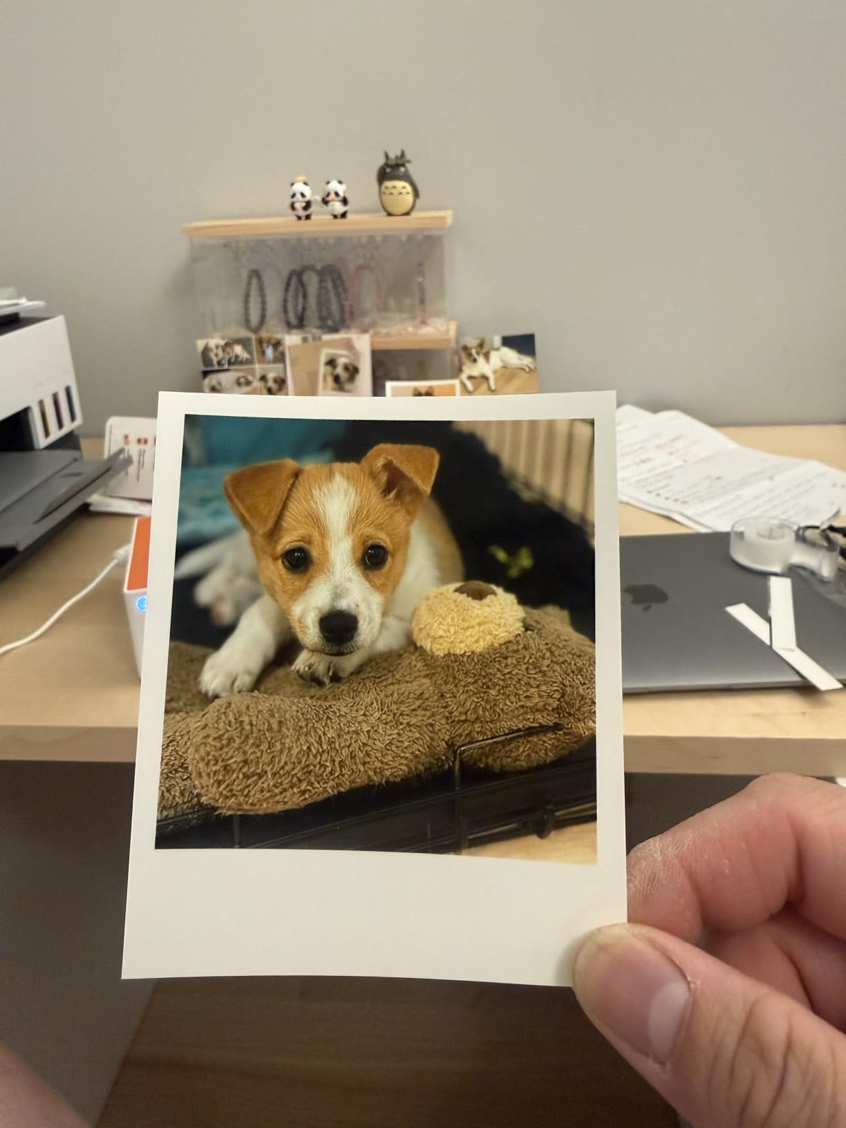 Liene Amber M110 Bluetooth Photo Printer 80 Sheets, Portable Photo Printer for iPhone, Thermal Dye Sublimation, Picture Printer 60 Sheets 4x6 Paper & 20 Sheets 3