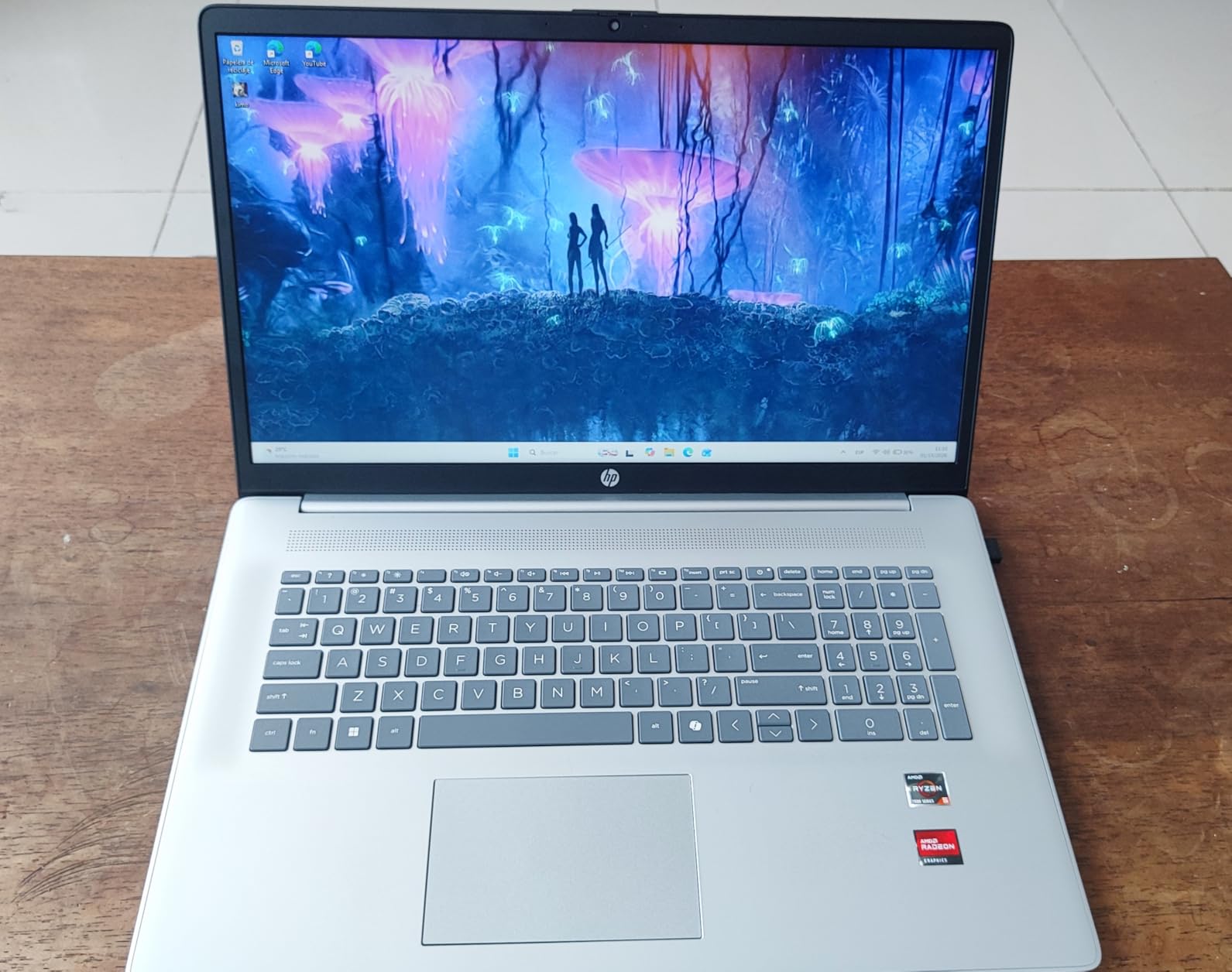 HP 17.3 inch Laptop, HD+ Display, AMD Ryzen 5 7520U, 16 GB RAM, 512 GB SSD, AMD Radeon Graphics customer photo 2