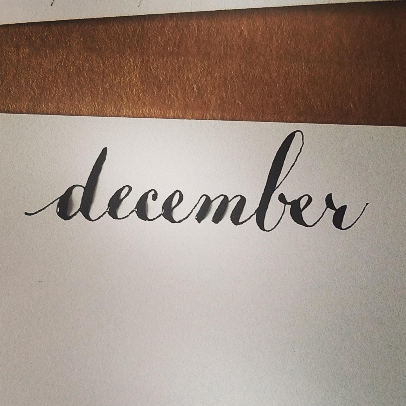 Moon Palace Sumi Ink 180ml customer photo 2