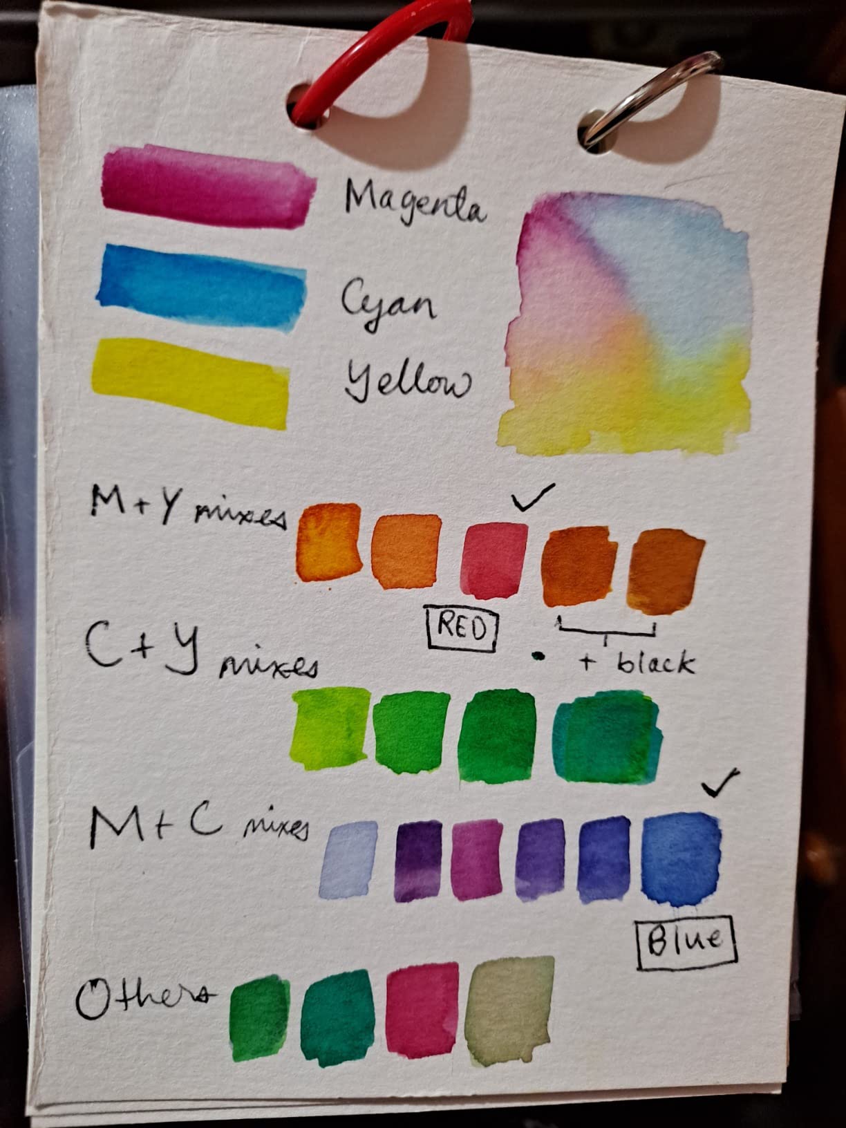 5 primary colors set Holbein gouache gouache (japan import) customer photo 1