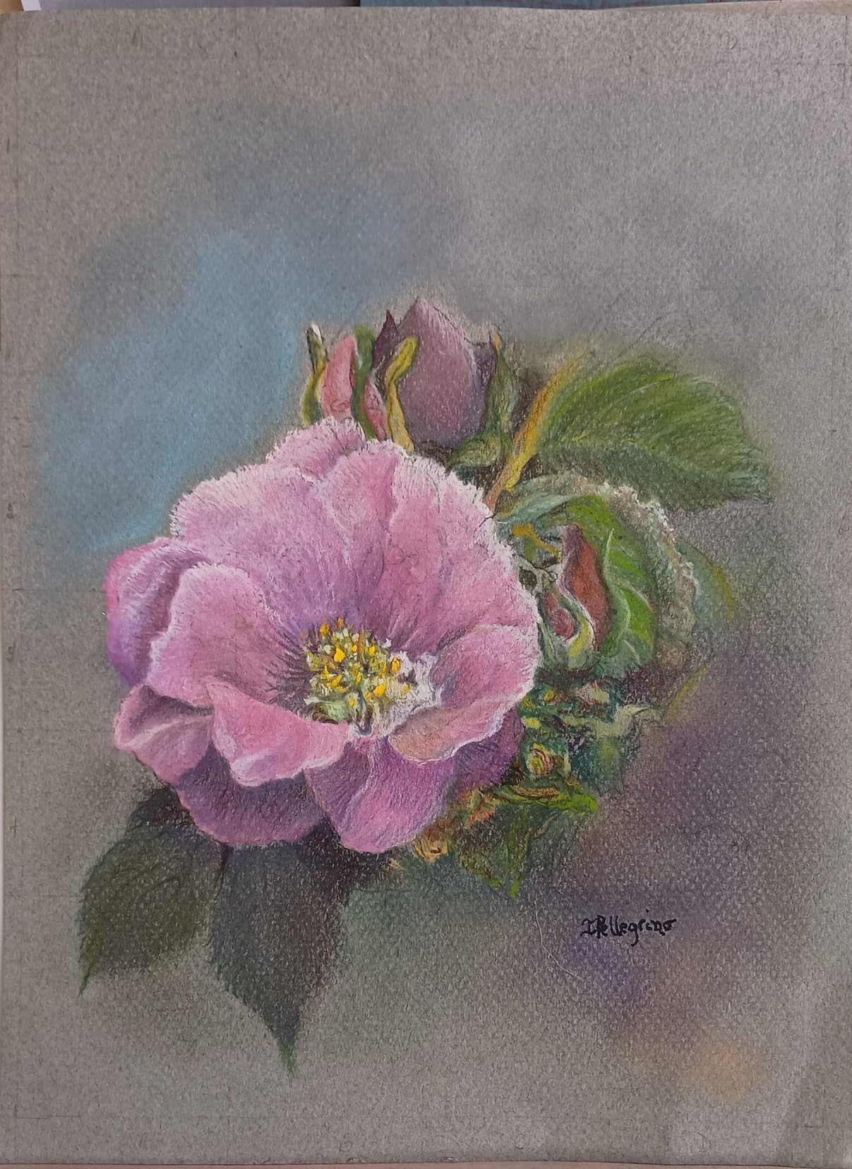 Canson Artist Series Mi-Teintes Pastel Paper, Assorted Colors, Foldover Pad, 9x12 inches, 24 Sheets (98lb/160g) - Artist Paper for Adults and Students customer photo 2