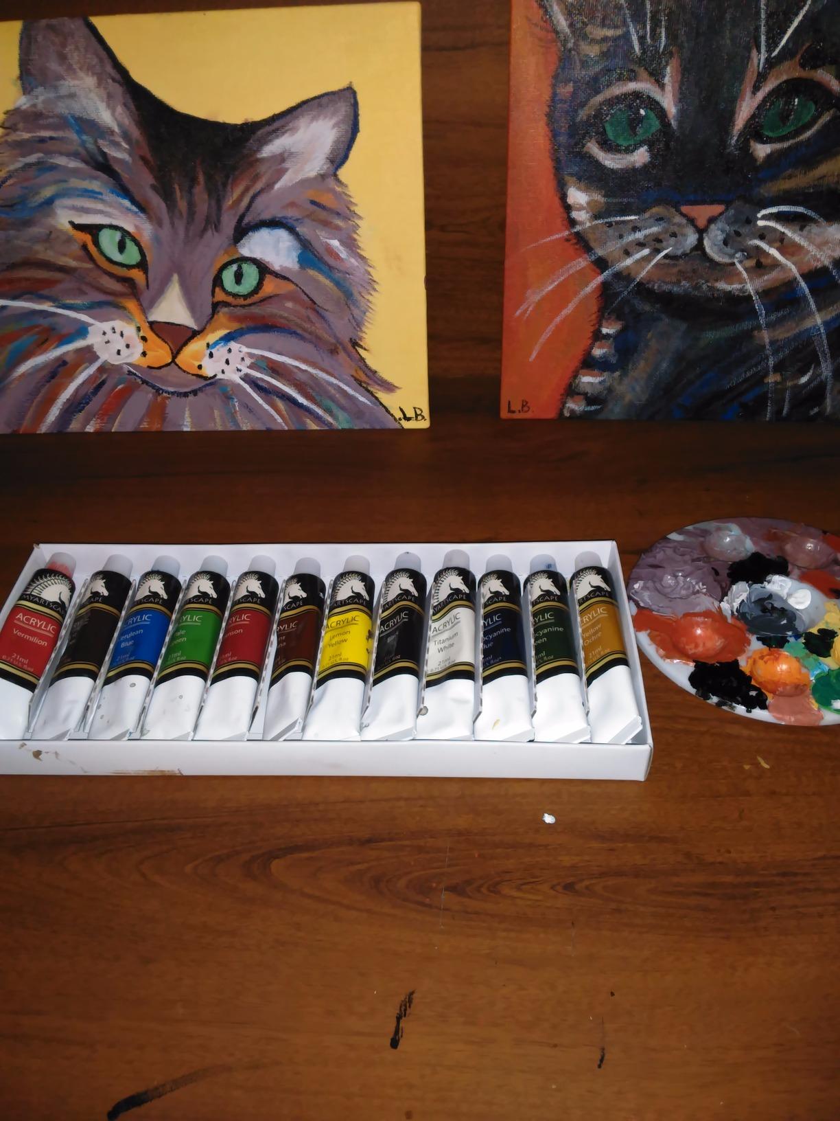 MyArtscape Heavy Body Acrylic Paint Set 12 Colors x 21ml - Rich Pigment for Canvas, Wood & Fabric customer photo 2