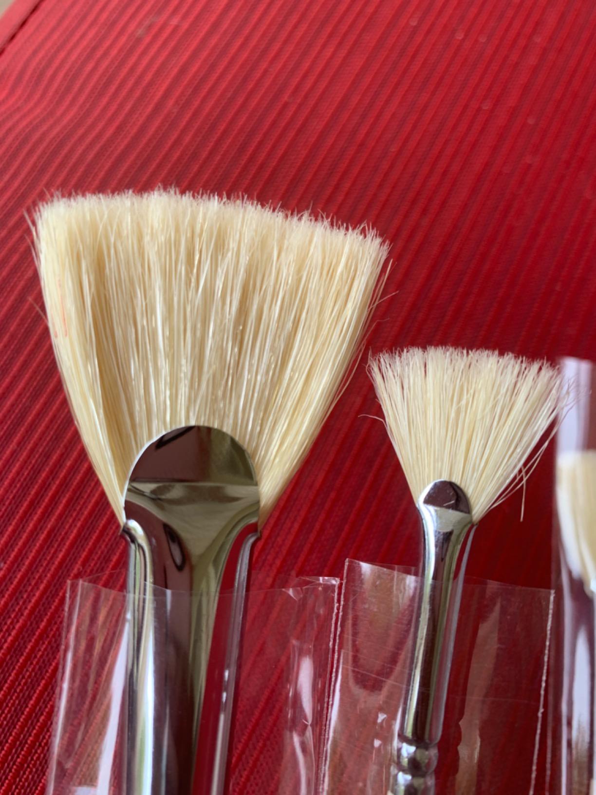 Amagic Fan Brush Set - Hog Bristle Natural Hair - Artist Soft Anti-Shedding Paint Brushes for Acrylic Watercolor Oil Painting, Long Wood Handle with Case, Set of 6 customer photo 1