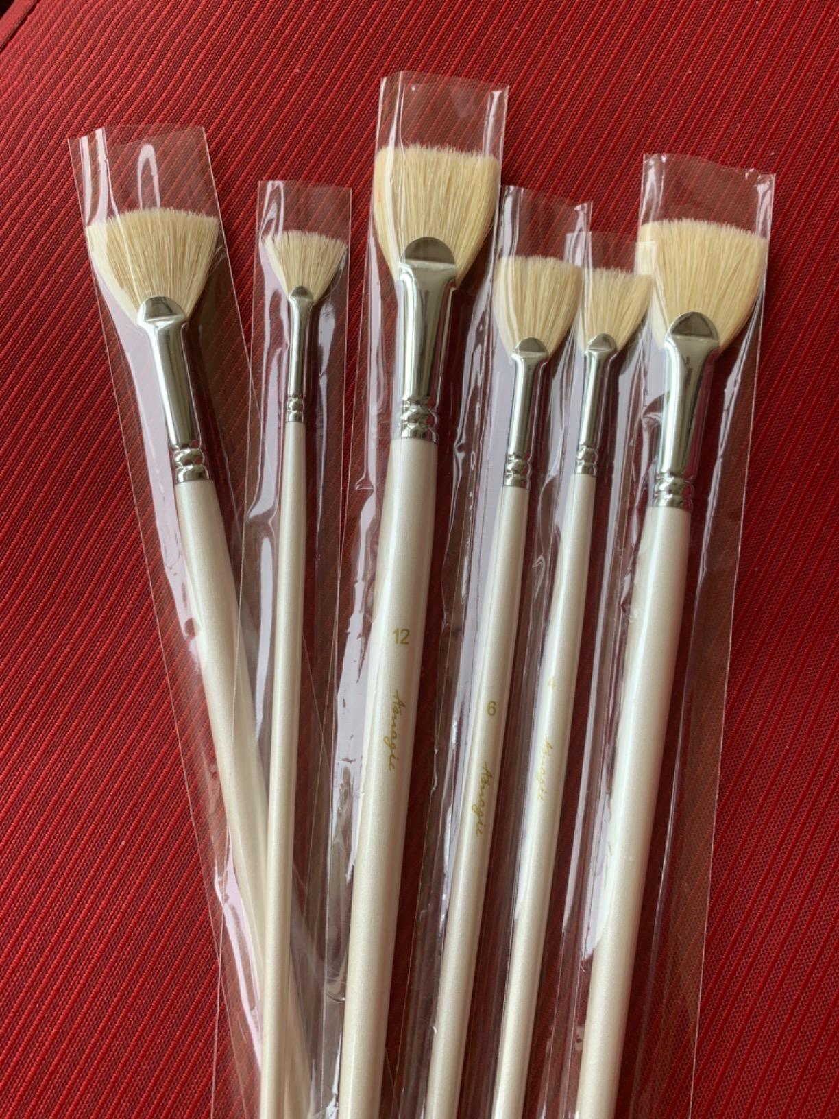 Amagic Fan Brush Set - Hog Bristle Natural Hair - Artist Soft Anti-Shedding Paint Brushes for Acrylic Watercolor Oil Painting, Long Wood Handle with Case, Set of 6 customer photo 2