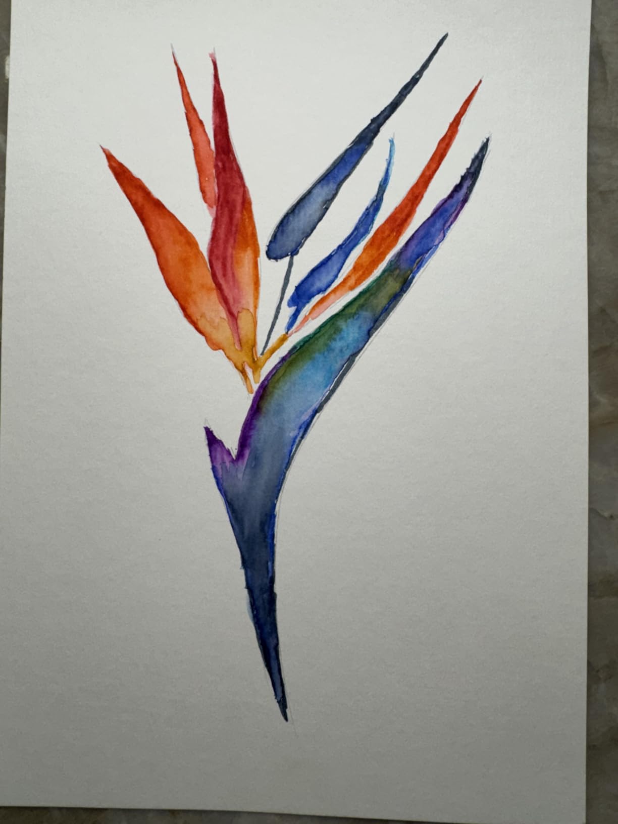 CHROMATEK 30 Watercolor Brush Pens | 15 Page Tutorial Pad & Online Video Series | Brush Tips | Vivid, Blendable Professional Artist Quality | 27 Colors | 3 Aquapens | Complete Water Color Painting Set customer photo 2