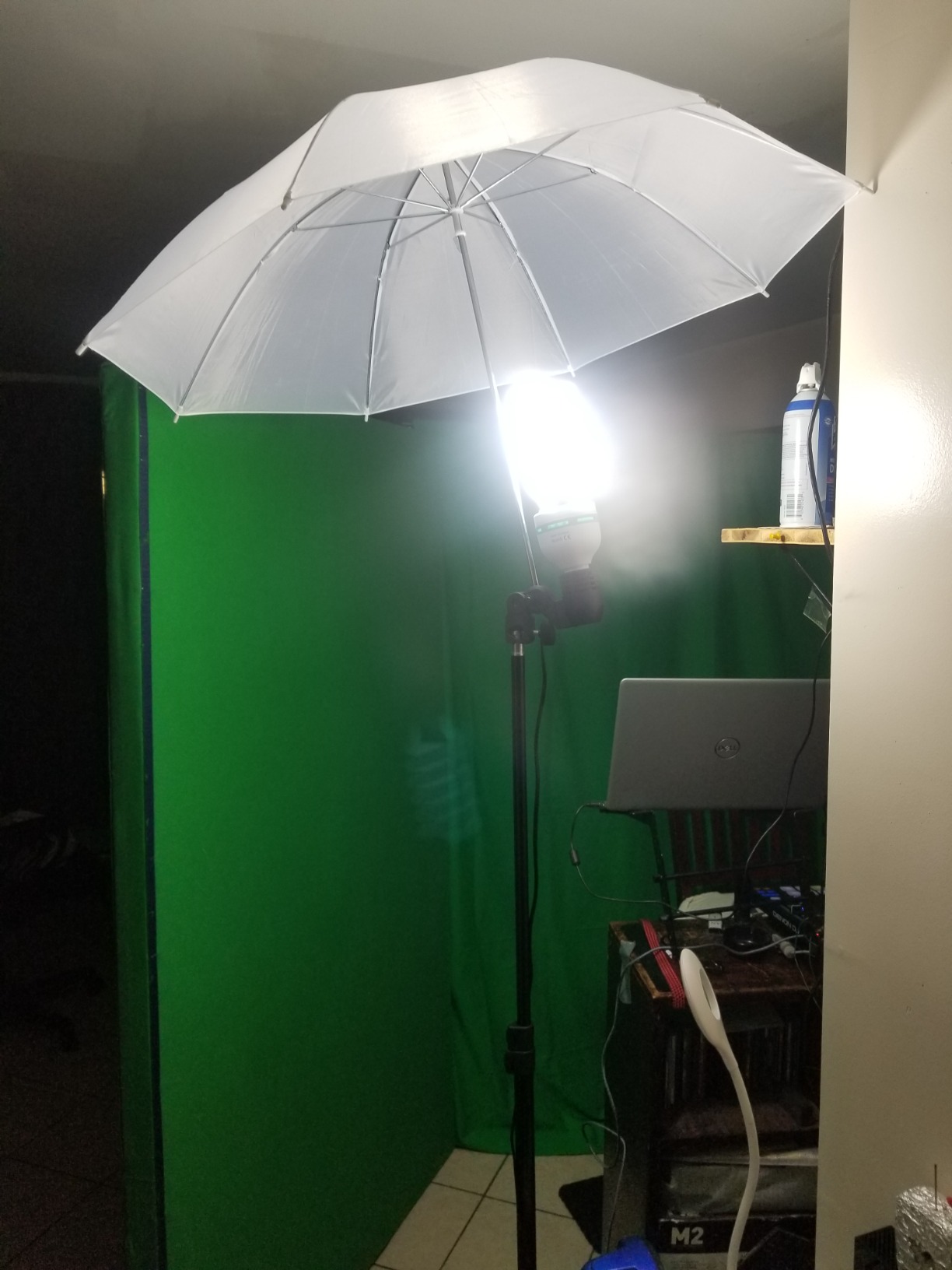 Photography Background Stand Support System with Muslin Backdrop (Chromakey Green Screen kit) 85W 5500K LED Bulb with Umbrella Lighting Kit for Photo Studio Product, Portrait and Video Shoot customer photo 1