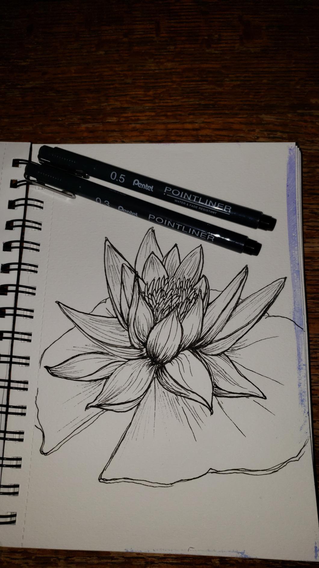 Pentel Arts Pointliner Drawing Pen, 5-Pack, Assorted Sizes, Black Ink (S20PBP5A) customer photo 2