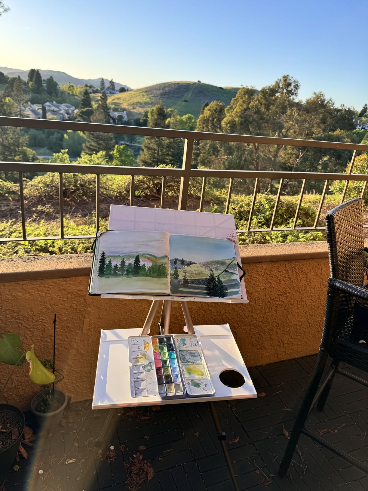 MEEDEN Plein Air Easel for Painting: Adjustable Travel Watercolor Easel Stand for Adults- Collapsible Portable Tripod for Artists customer photo 1