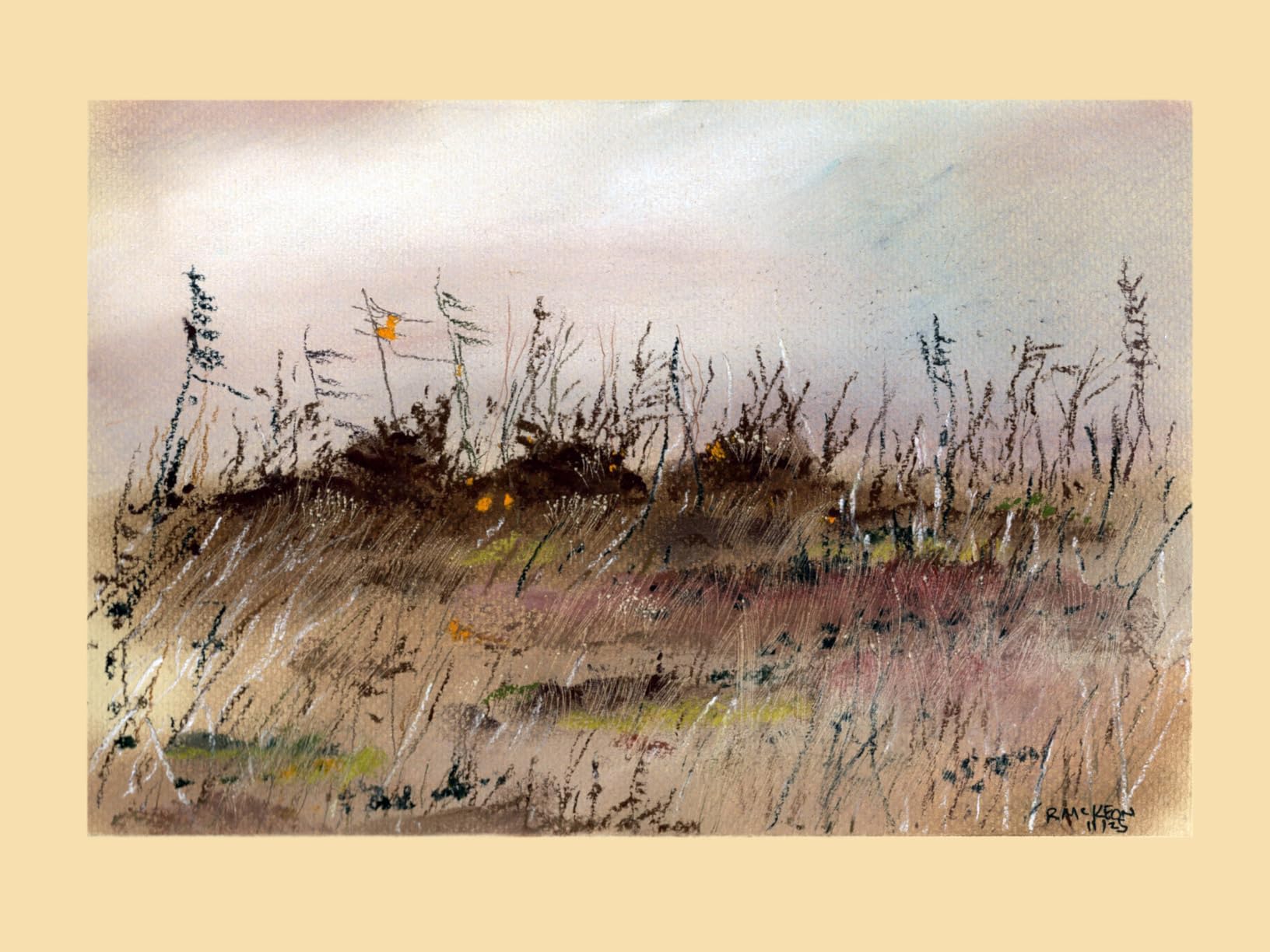 Winsor & Newton Professional Pastel Paper Pad, 9x12 Inches, 24 Sheets, 160gsm, Earth Colors customer photo 1