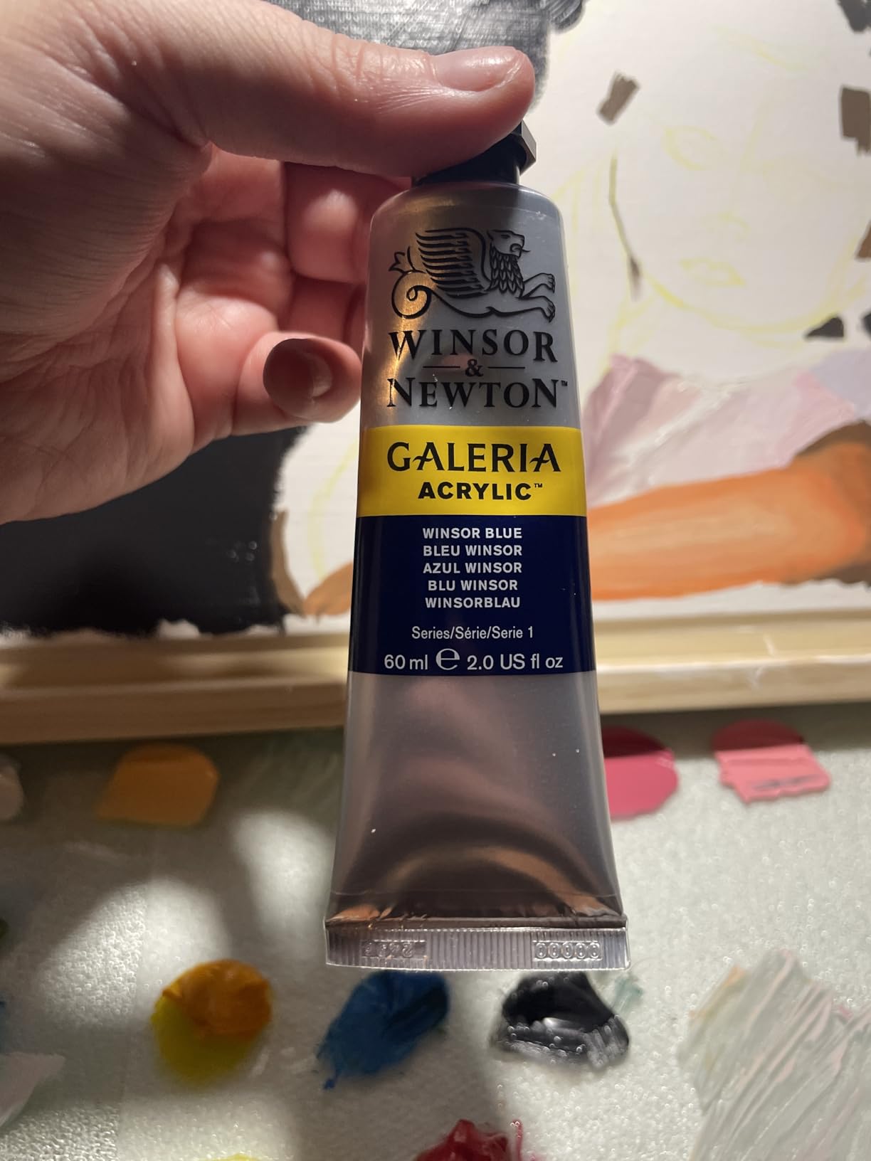 Winsor & Newton Galeria Acrylic Paint, 20 x 12ml (0.4--oz) Tube Paint Set customer photo 1