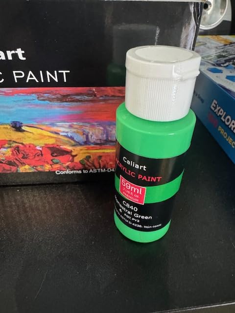 Caliart Metallic Acrylic Paint Set with 12 Brushes, 24 Colors (59ml, 2oz/Bottle) Rich Pigments Art Craft Paints for Artist Beginner, Canvas Halloween Pumpkin Ceramic Wood Rock Painting Supplies Kits customer photo 1