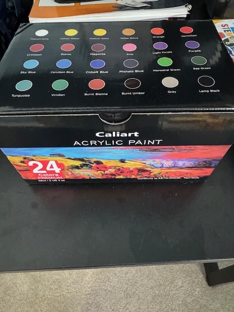 Caliart Metallic Acrylic Paint Set with 12 Brushes, 24 Colors (59ml, 2oz/Bottle) Rich Pigments Art Craft Paints for Artist Beginner, Canvas Halloween Pumpkin Ceramic Wood Rock Painting Supplies Kits customer photo 2