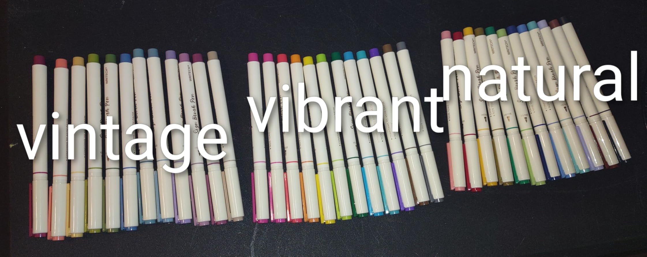 WRITECH Brush Tip Marker Pens: Artist Markers Flexible Tip Water Based 12ct Assorted Colors for Journaling Adult Coloring Hand Lettering Calligraphy Drawing Vibrant Colored customer photo 2