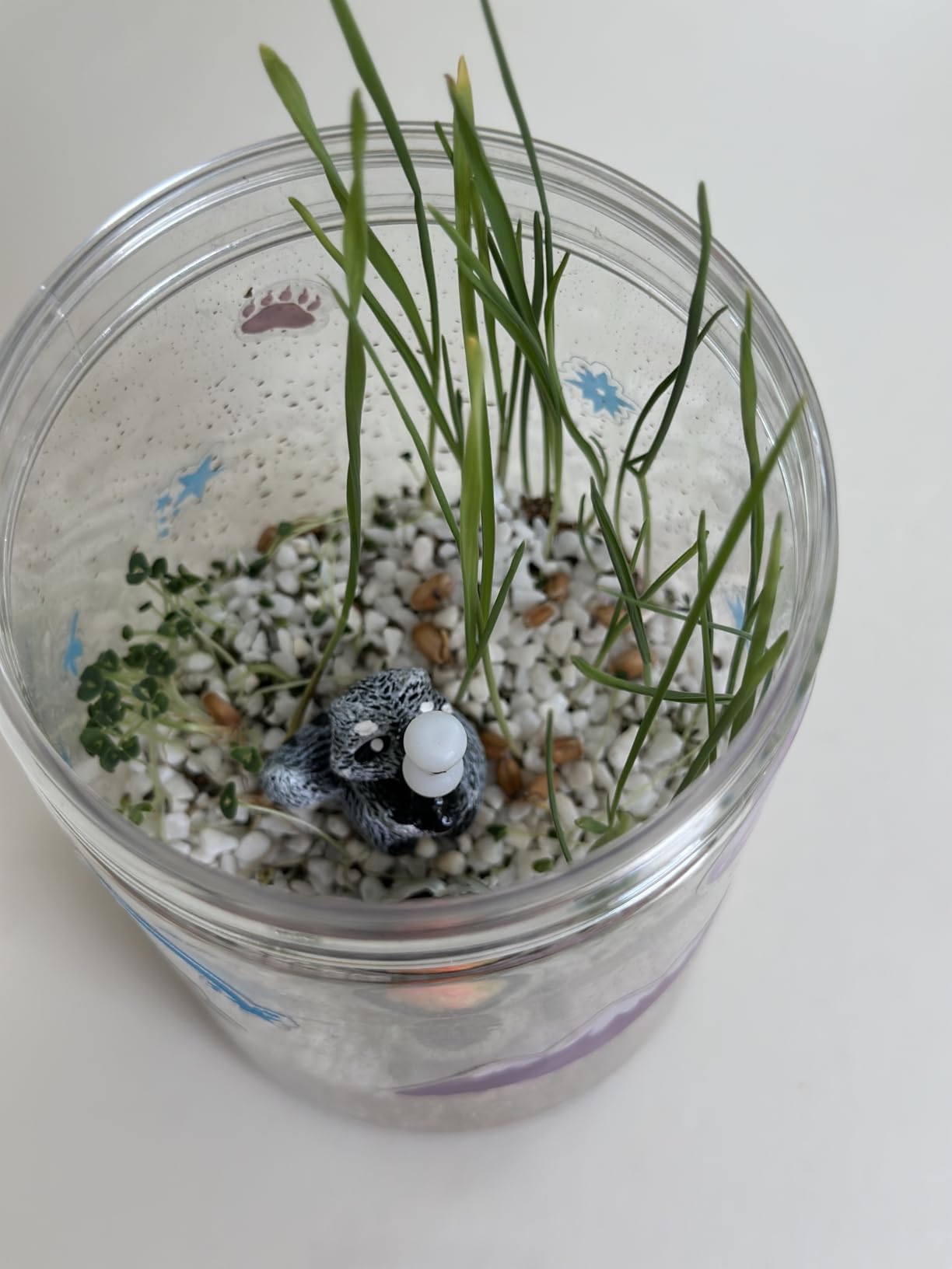Creativity for Kids Grow 'N Glow Terrarium Kit - Educational Science Kits | Screen Free Summer Fun Activities | Craft and STEM Projects (Ages 6+) customer photo 1