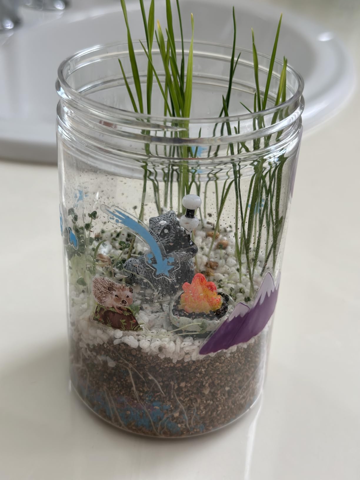 Creativity for Kids Grow 'N Glow Terrarium Kit - Educational Science Kits | Screen Free Summer Fun Activities | Craft and STEM Projects (Ages 6+) customer photo 2