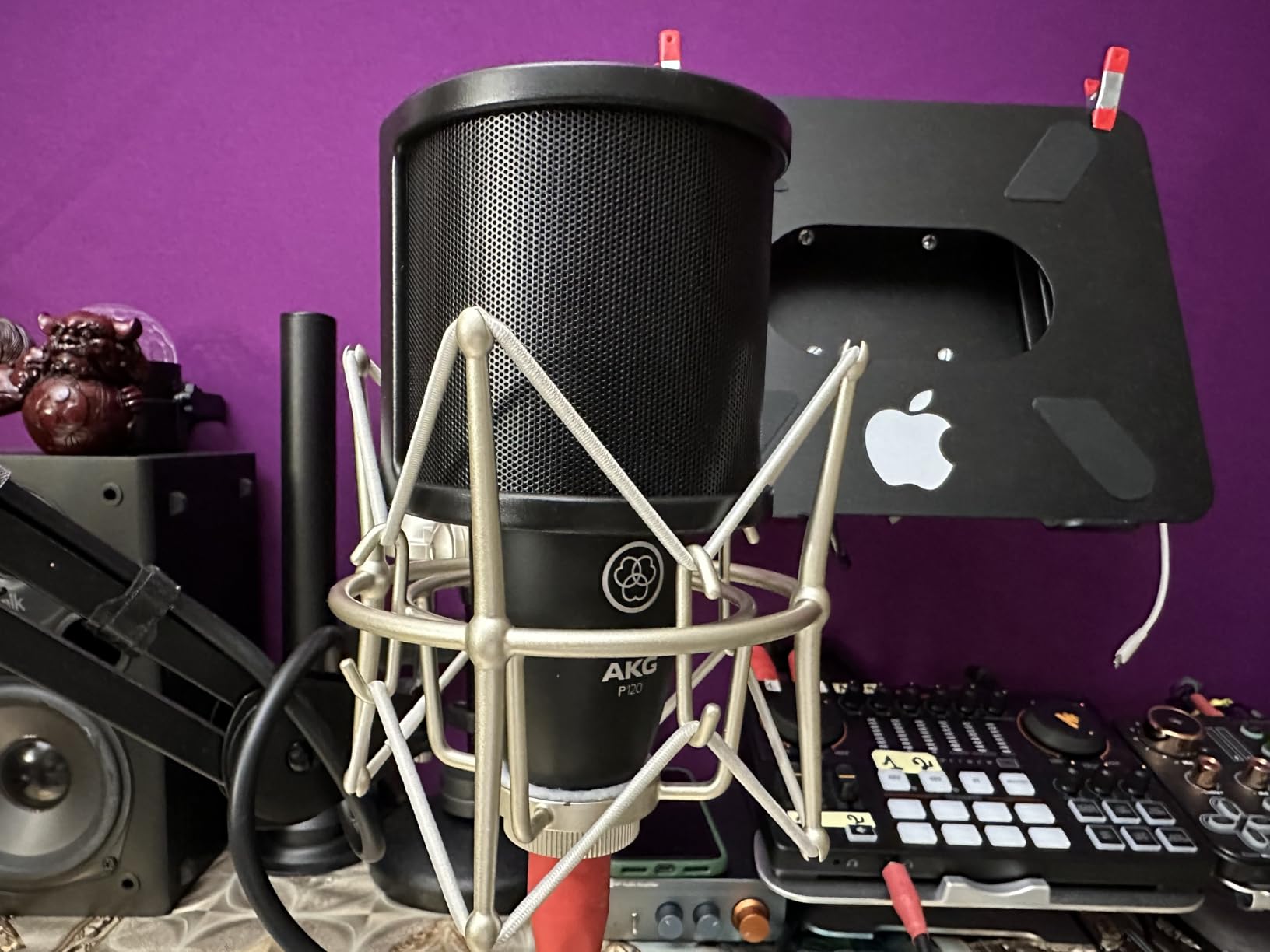 AKG Pro Audio P120 - Affordable 2/3-Inch Diaphragm Condenser Microphone for Clear Vocals & Instruments. Studio Recording or Live. XLR Connector customer photo 1