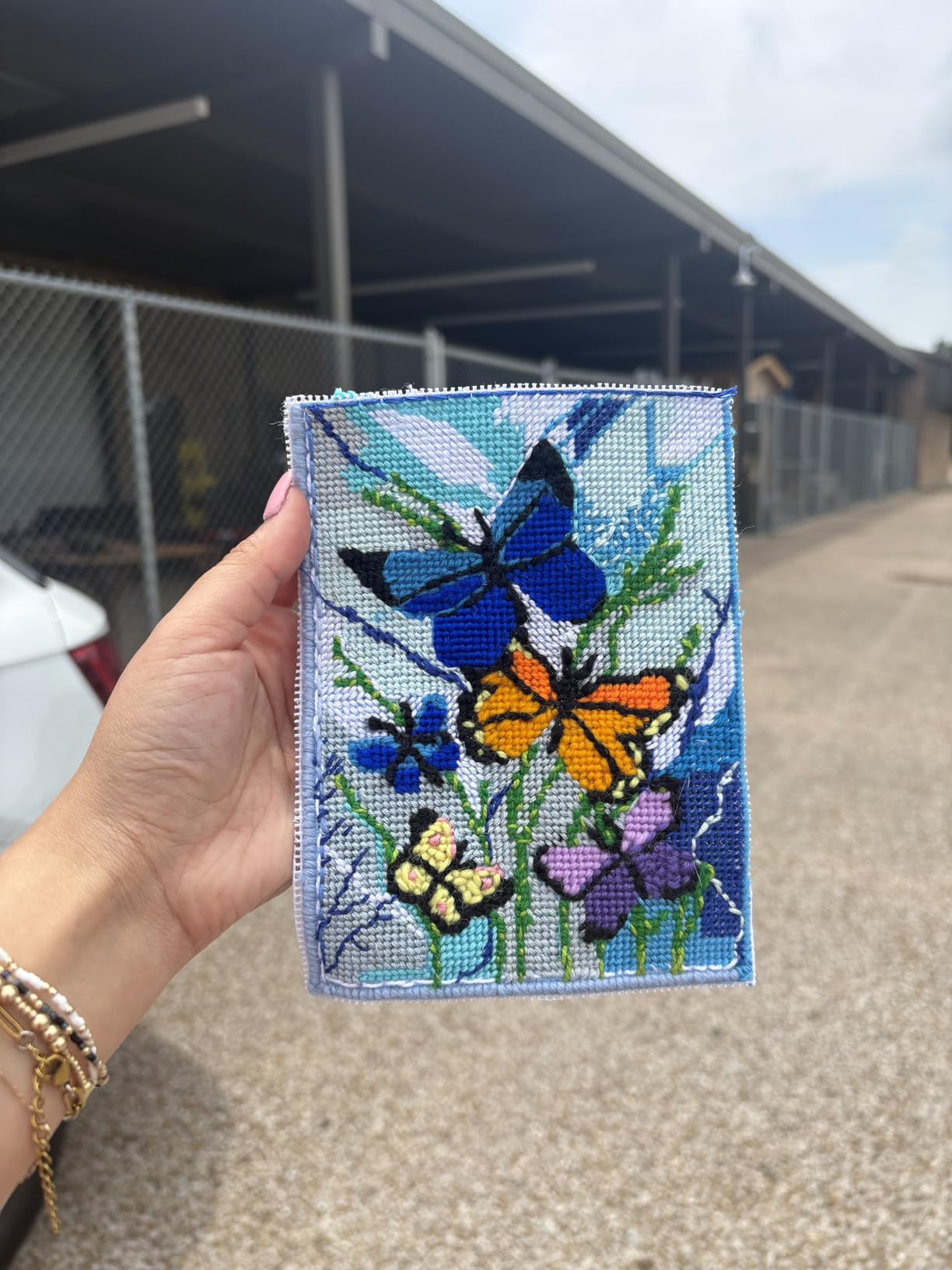 Design Works Crafts Butterflies Galore Needlepoint Kit customer photo 1