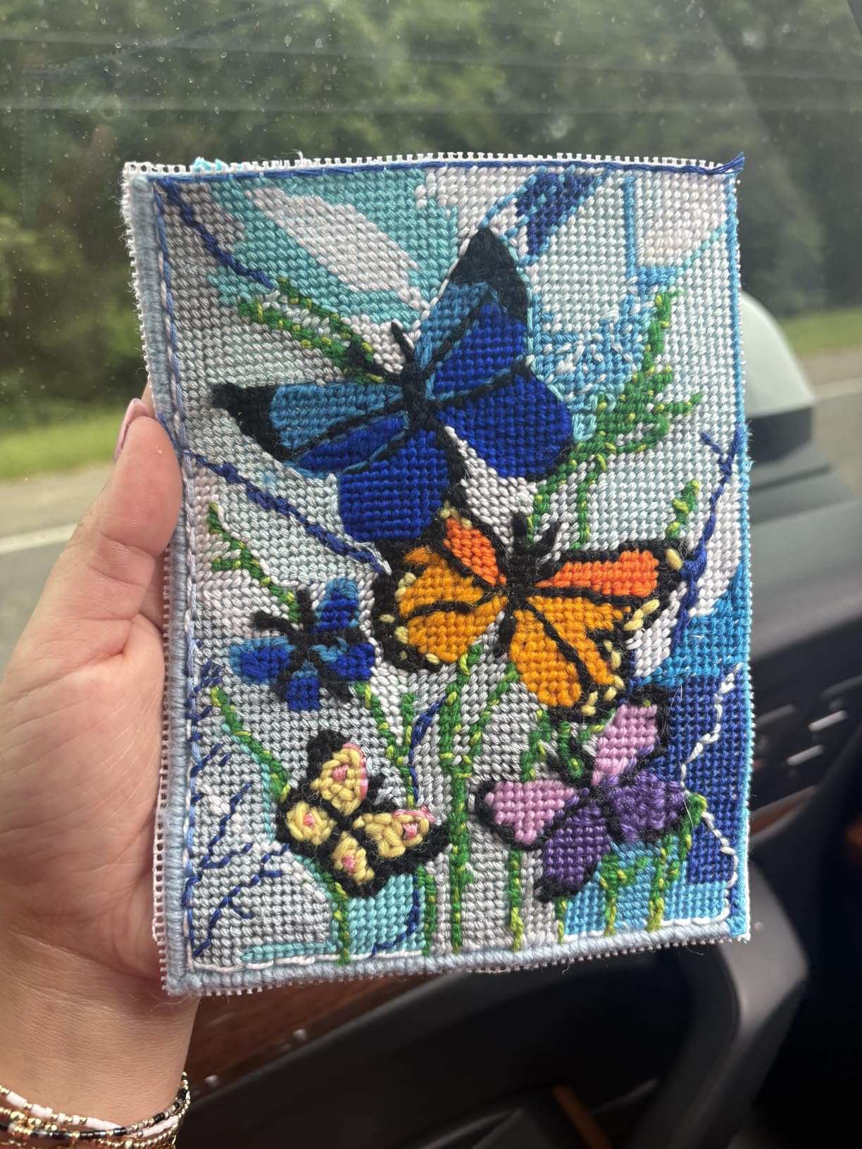 Design Works Crafts Butterflies Galore Needlepoint Kit customer photo 2