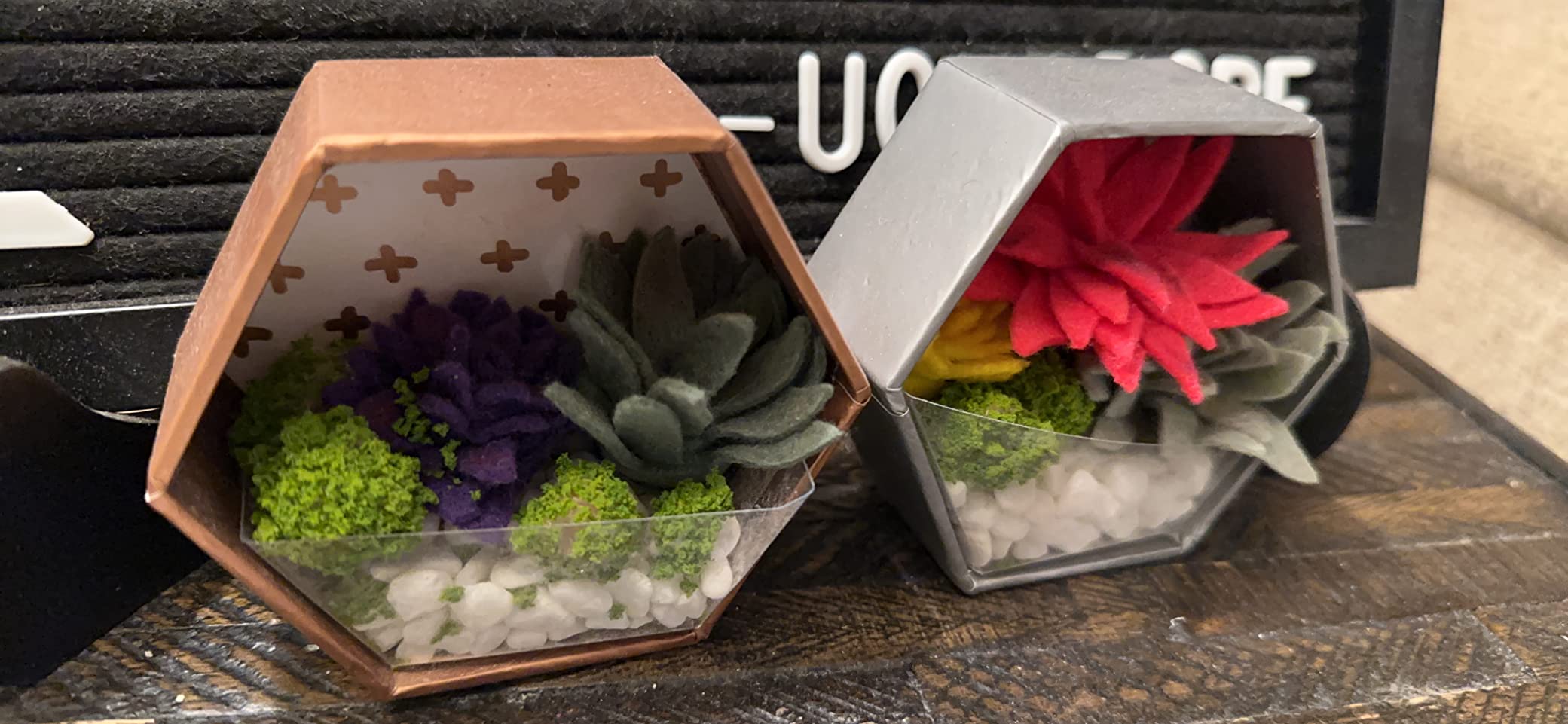 Craft Crush - Felt Succulents Craft Kit - Display Kit - Fun & Easy - Ages 13+, Small customer photo 1