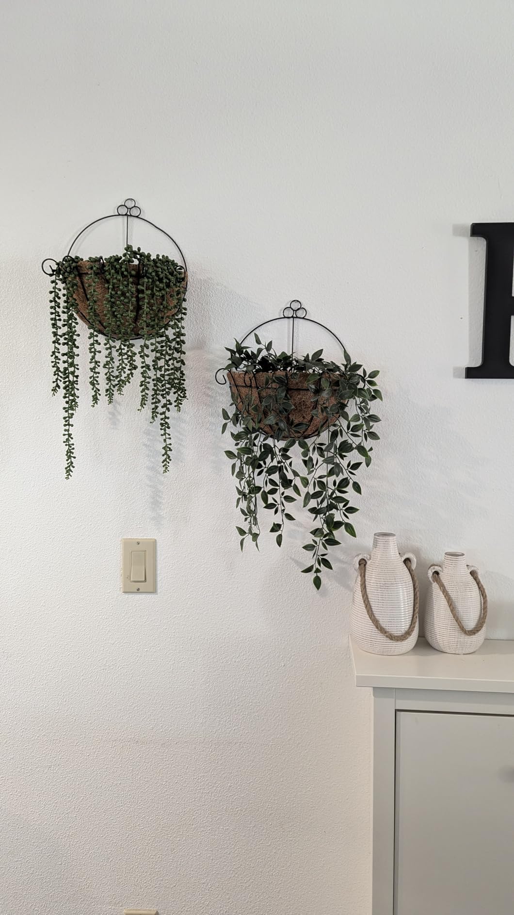 Tosnail 2 Pack Metal Wall Hanging Planter Basket with Coco Liner - Great for Indoor or Outdoor Plants customer photo 2