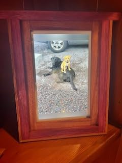 Skylight Frame - WiFi Digital Picture Frame with Touch Screen, Easy Setup, Photo Gifts for Parents and Grandparents - 10 Inch Black customer photo 1