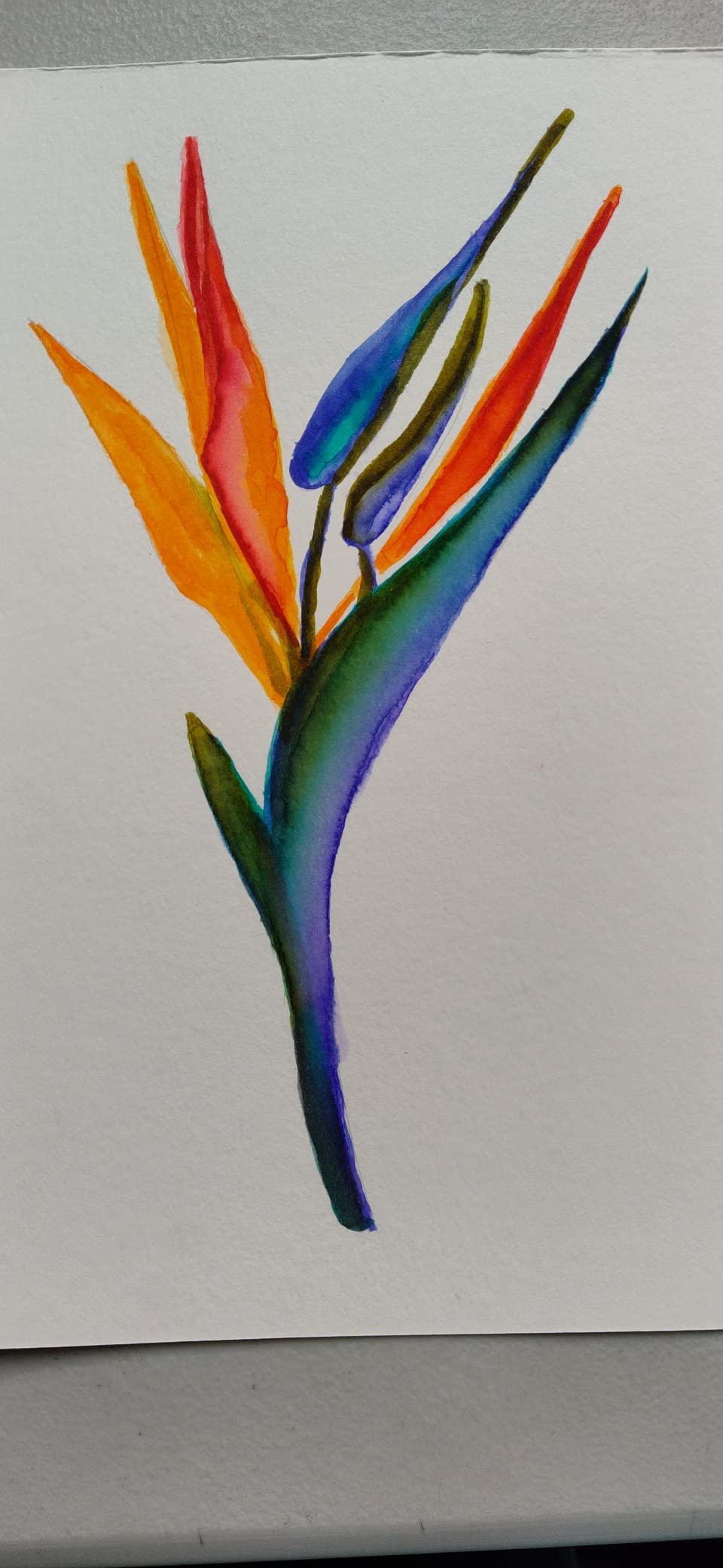 CHROMATEK 54 Watercolor Pens Set | Including 15 Page Pad & Online Video Tutorial Series | 4 Aquapens & 50 Unique Colors | Brush Pens | Easily Blendable, Vivid, Smooth | Professional Art Supplies customer photo 2