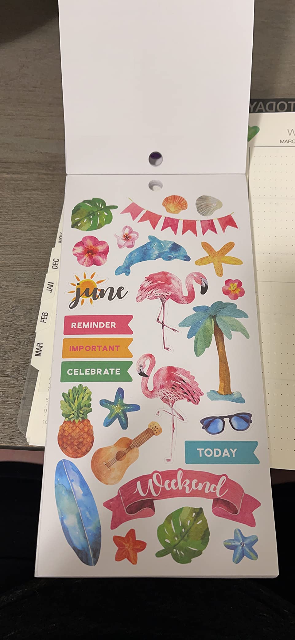 Paper House Productions Seasons Collection 30-Sheet 1200-Piece Celebrate Your Day Planner Sticker Folio for Planners, Journaling and Crafting customer photo 2