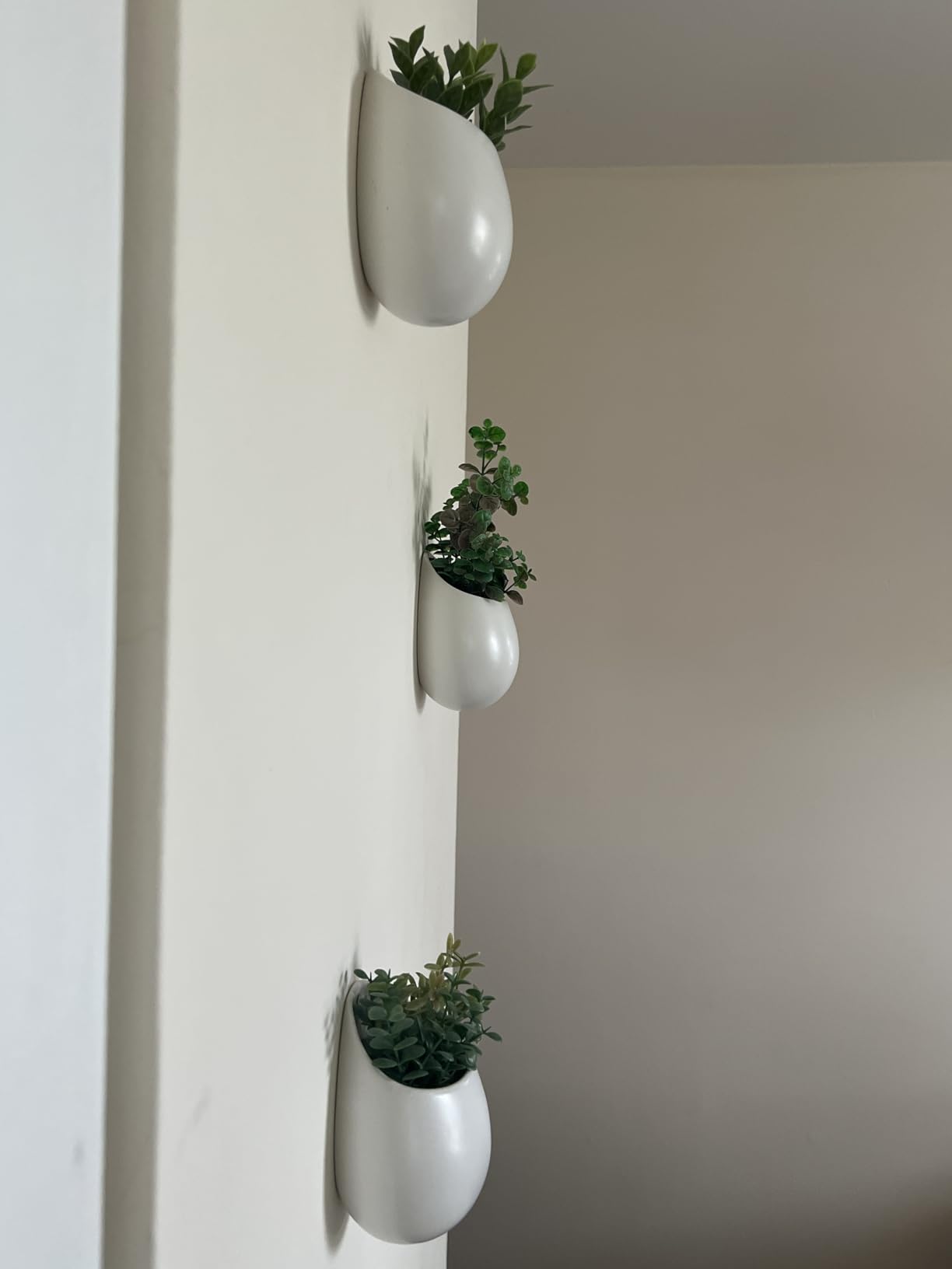 Mkono 4 Inch Wall Mounted Planter Round Ceramic Hanging Plant Holder Decorative Flower Display Vase Succulent Pots for Indoor Plants, Set of 3, White customer photo 1