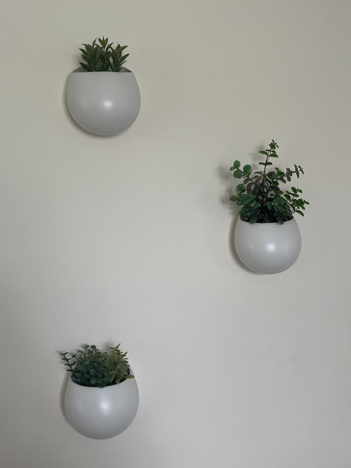 Mkono 4 Inch Wall Mounted Planter Round Ceramic Hanging Plant Holder Decorative Flower Display Vase Succulent Pots for Indoor Plants, Set of 3, White customer photo 2