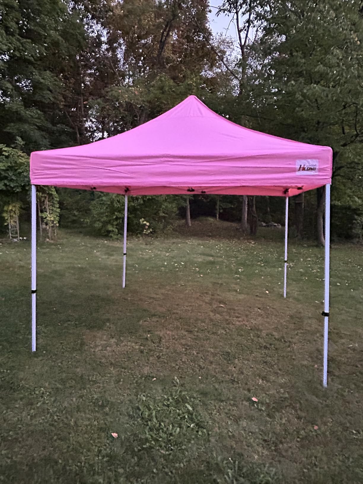 HLong 10x10 Heavy Duty Pop-Up Canopy Tent Commercial Grade, Navy Blue customer photo 2