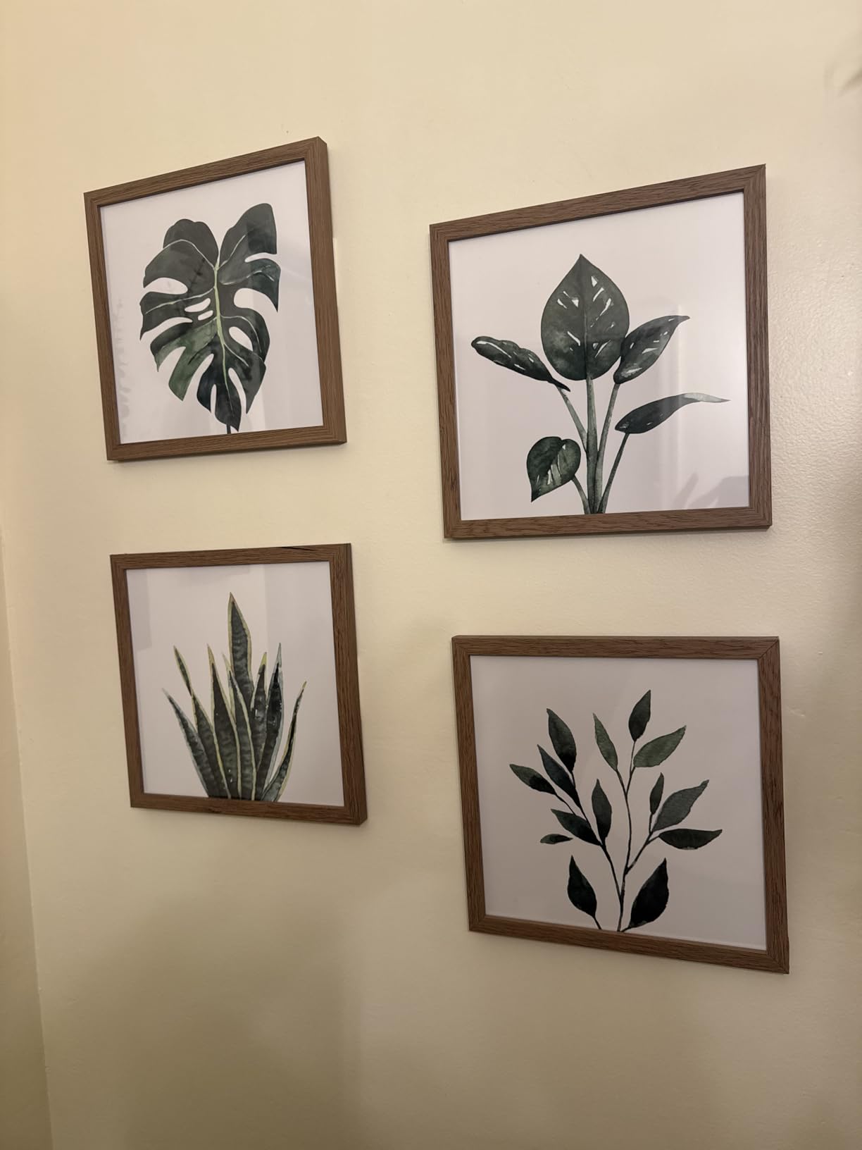 ArtbyHannah Framed Bathroom Wall Art Decor, 10x10 Inch 4 Pack Botanical Gallery Wall Frame Set Modern Farmhouse Sage Green Prints Artwork for Spa, Restroom, Bedroom, Office Decoration customer photo 2