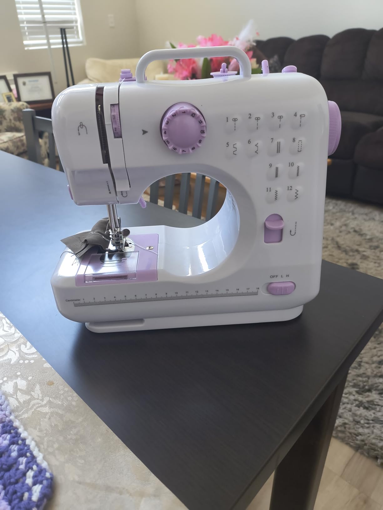 rxmeili Sewing Machine Portable mini Electric Sewing Machine for beginners 12 Built-in Stitches 2 Speed with Foot Pedal, Light, Storage Drawer customer photo 1