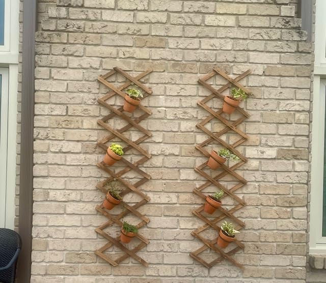 Darware Metal Wall Ring Planters with Pots (4-Pack, 8-Piece Set); Wall Mounted Clay Pots with Holders for Plants and Flowers customer photo 1