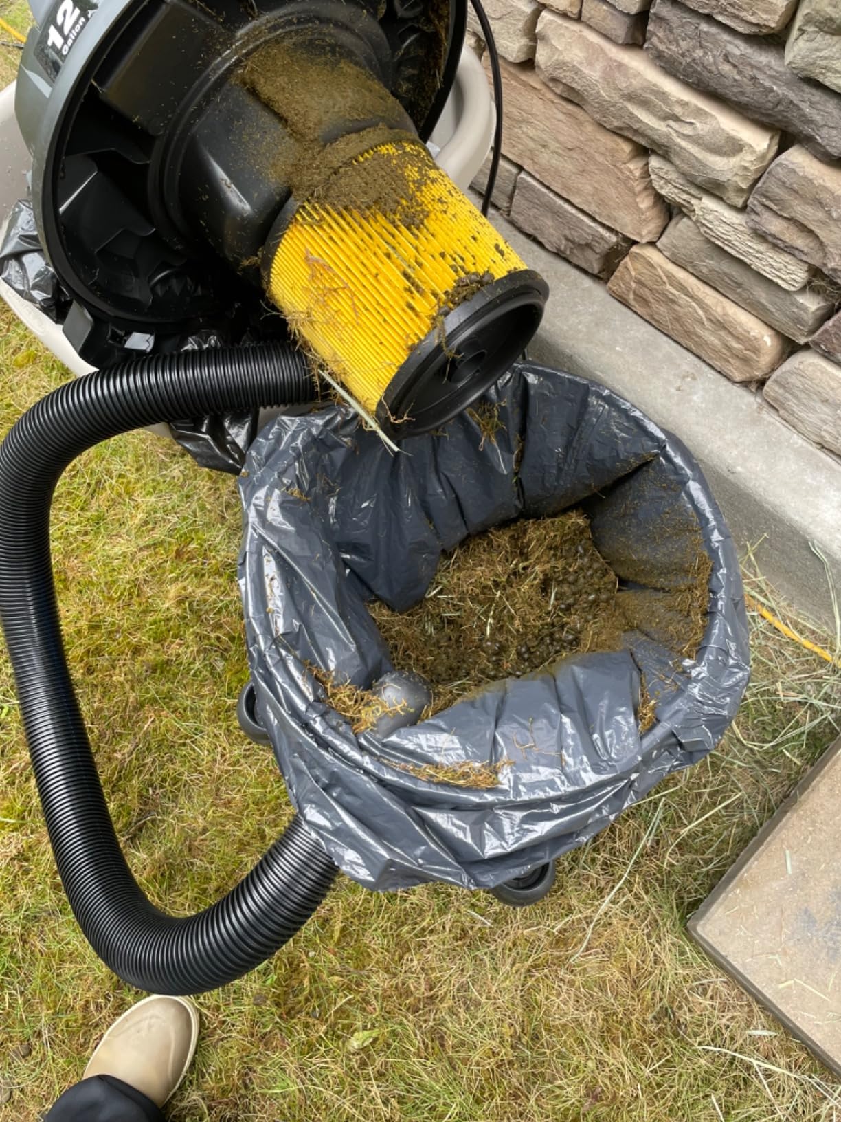 Vacmaster Wet/Dry Vacuum with Detachable Blower 6 Gallon 5 Peak HP - VBVB611PF 1101 customer photo 1