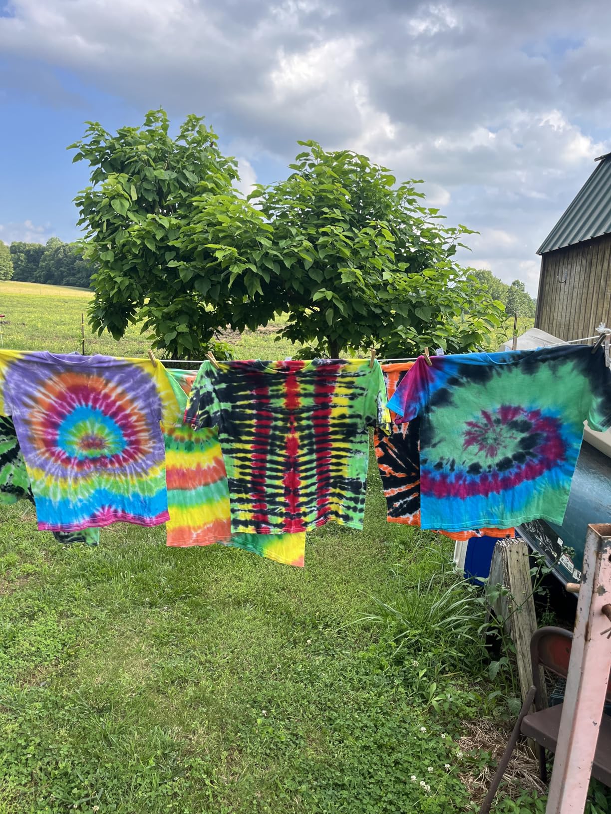 Jacquard Procion MX Dye Kit - USA Made - 8 Vibrant Colors, 8 oz Each - Fiber Reactive - Tie Dye Party Supplies - Bundled with Scoops customer photo 1