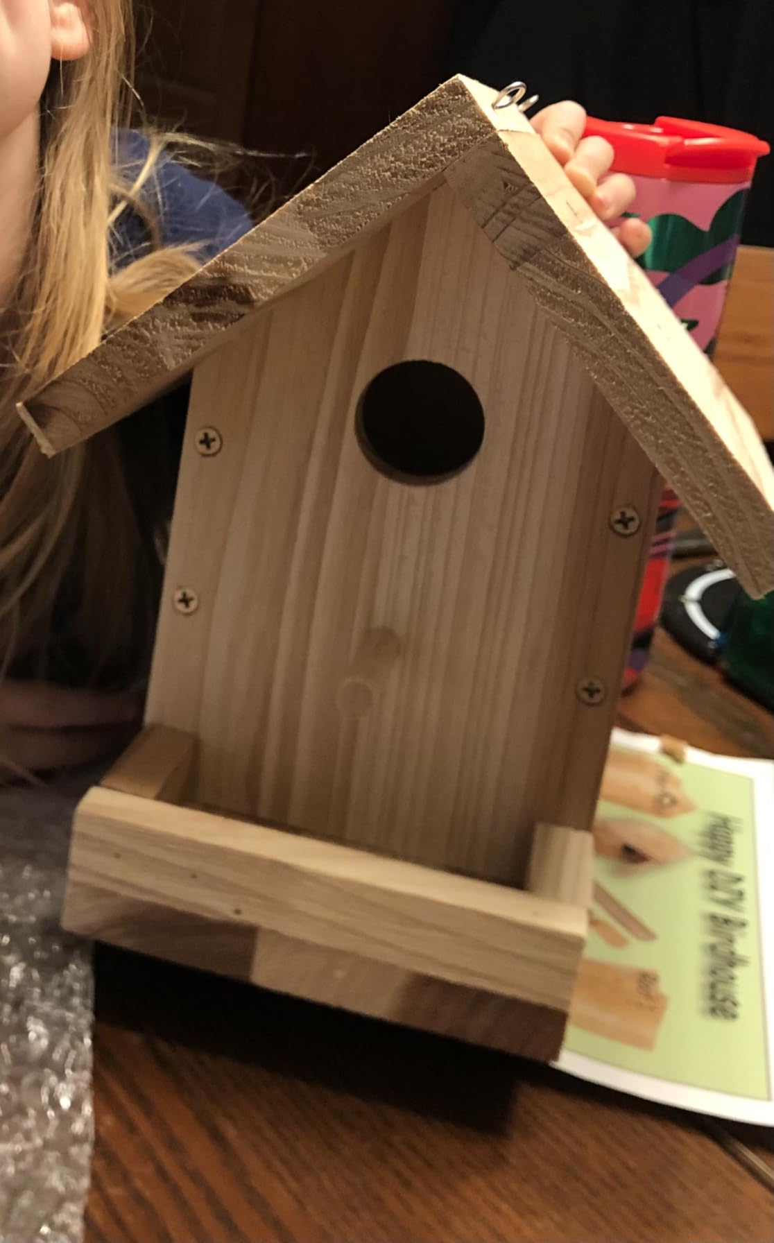 DIY Birdhouse Kit with Paint Set - Kids' Wood Craft Kits - Make a Bird House Kit for Kids - DIY Woodcraft Building Projects for Kids and Adults- STEM Teaching Tools customer photo 1