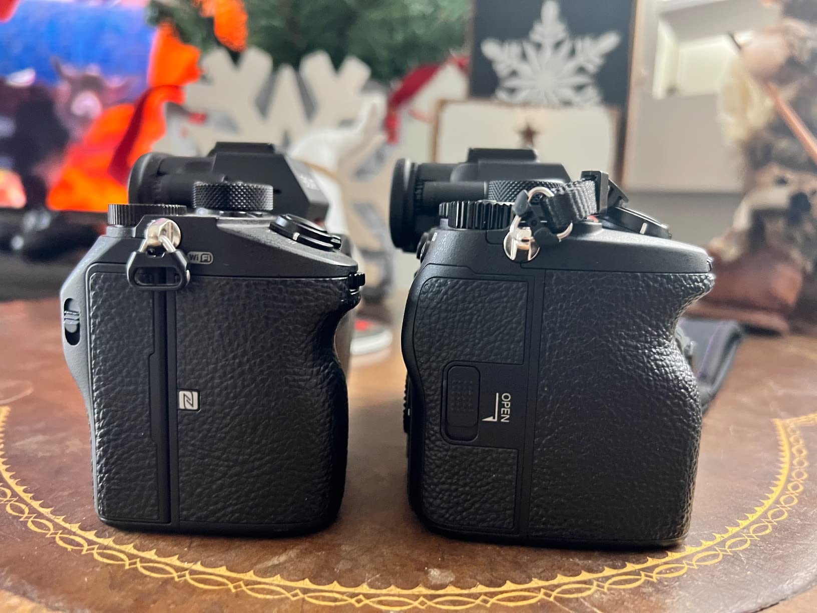 Sony Alpha 7R V Full-Frame Mirrorless Interchangeable Lens Camera Body customer photo 2