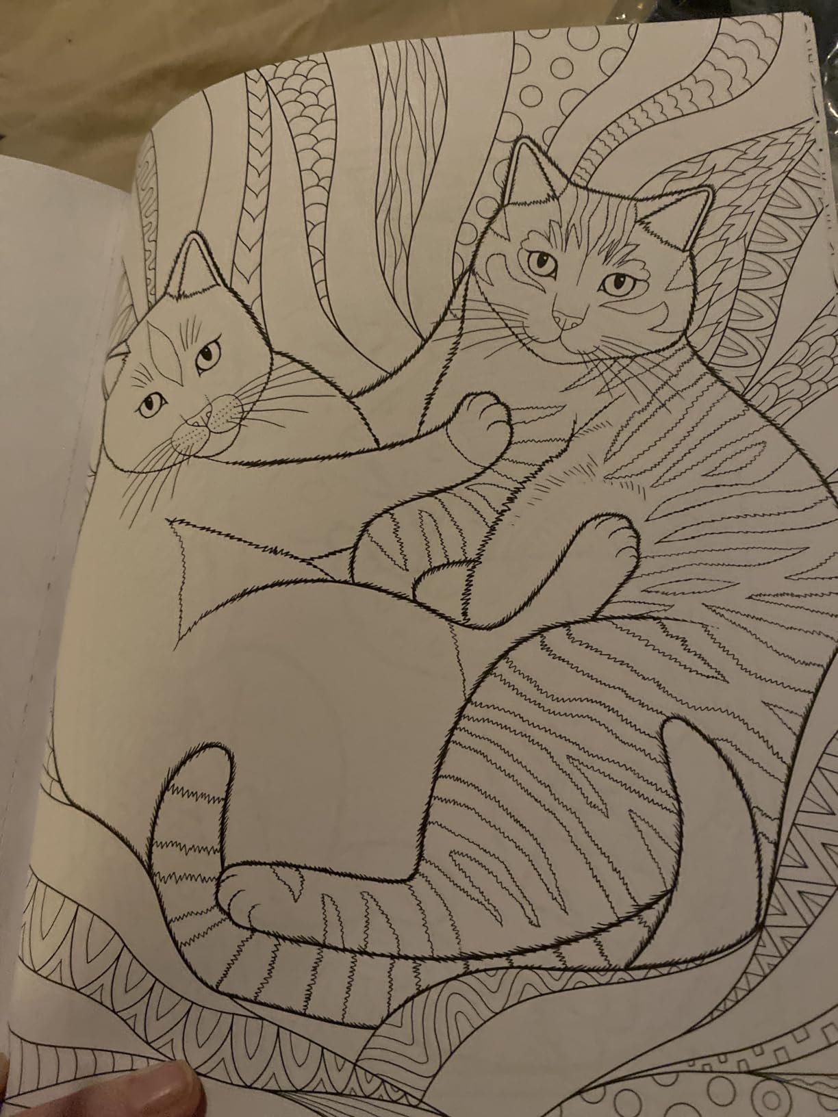 Stress Relief Cat Coloring Book: Calming and Adorable Designs for Adults customer photo 2