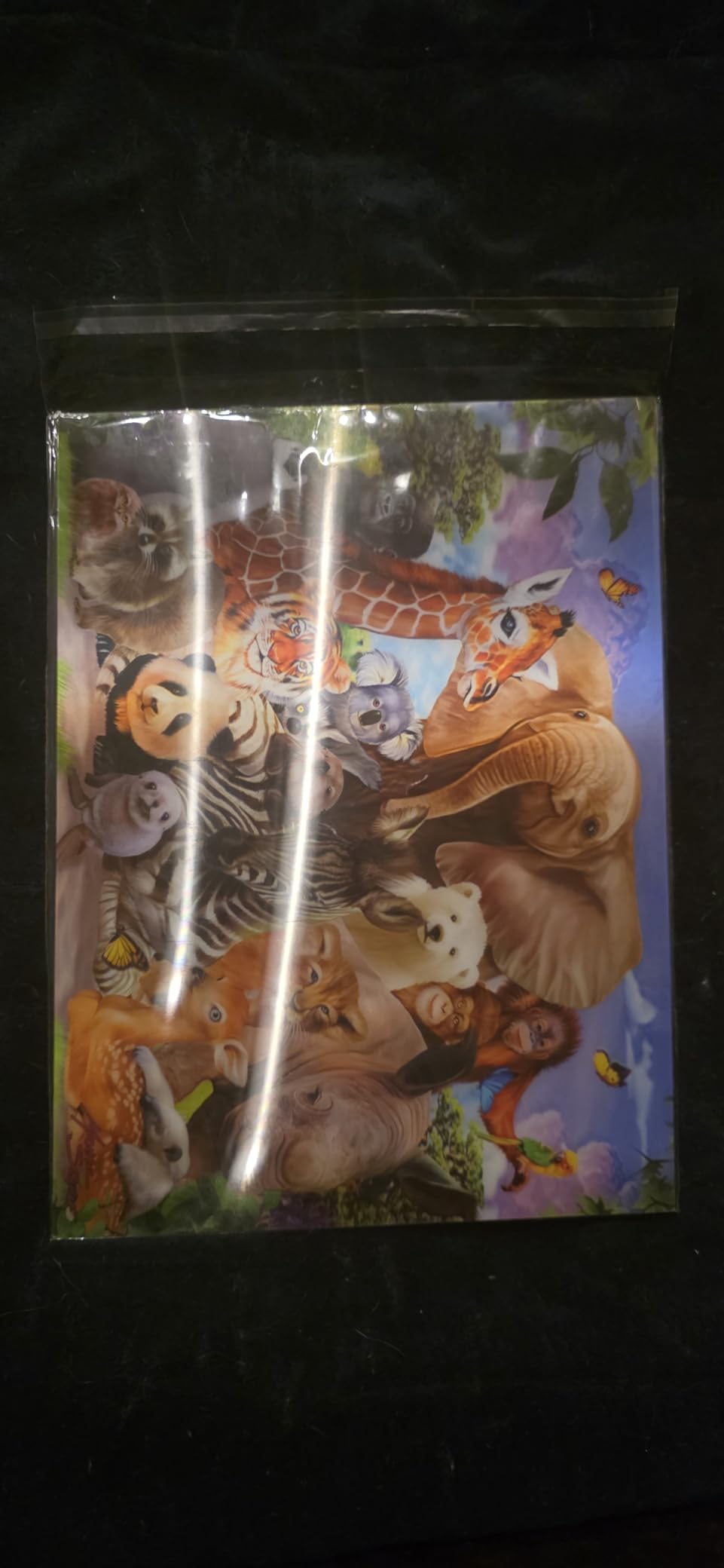 Egofine Self Sealing Cellophane Bags 100 PCS, Crystal Sealed Clear Bags for 11x14 Art Prints, Bag Size: 11.41x14.57 inches customer photo 1