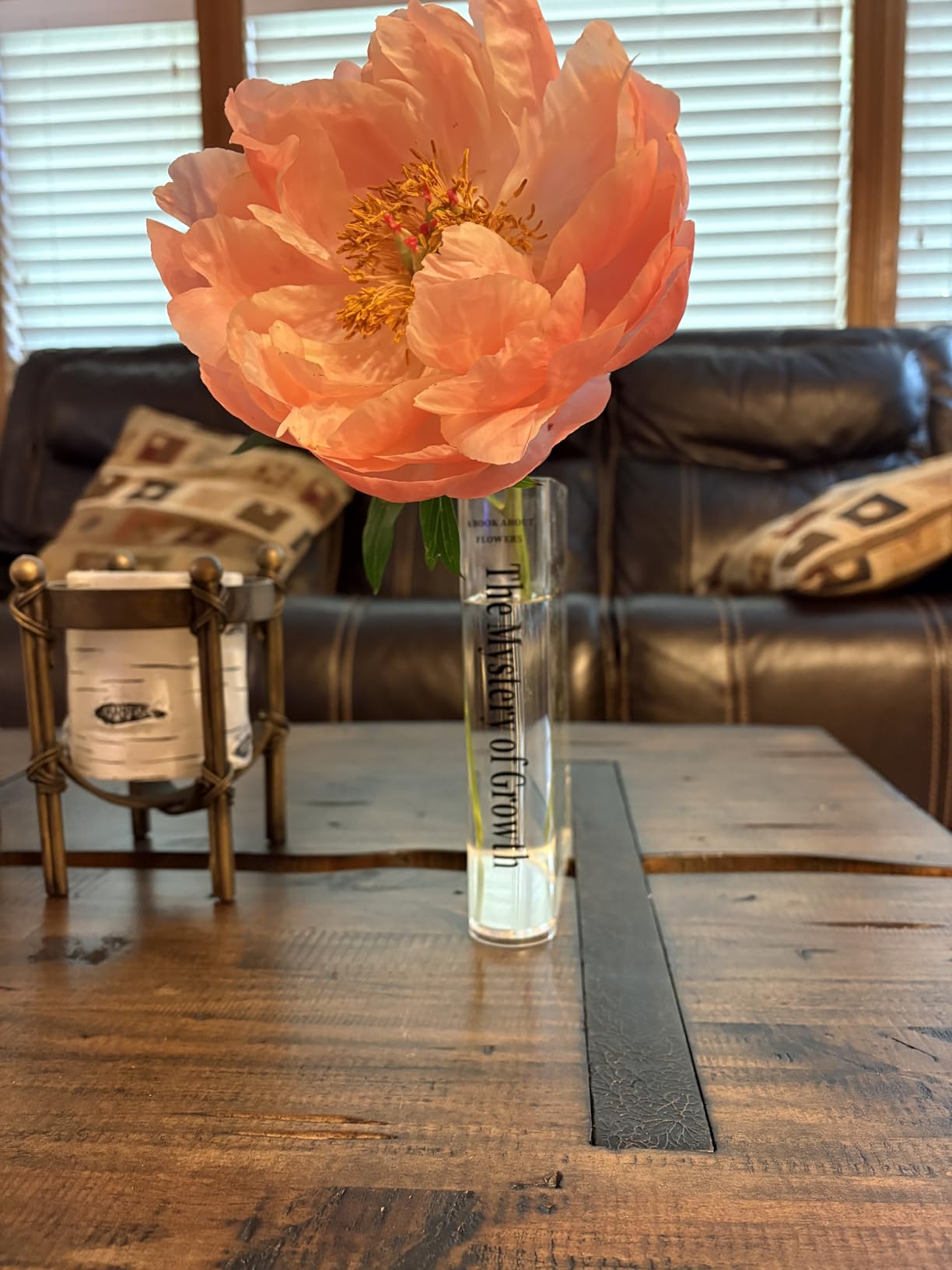 Puransen Clear Book Flower Vase - Floral Bookshelf Decor, Acrylic Flower Holder & Space-Saving Organizer, Modern Home Office/Study Desk Minimalist Aesthetic (Not Including Flowers) customer photo 1
