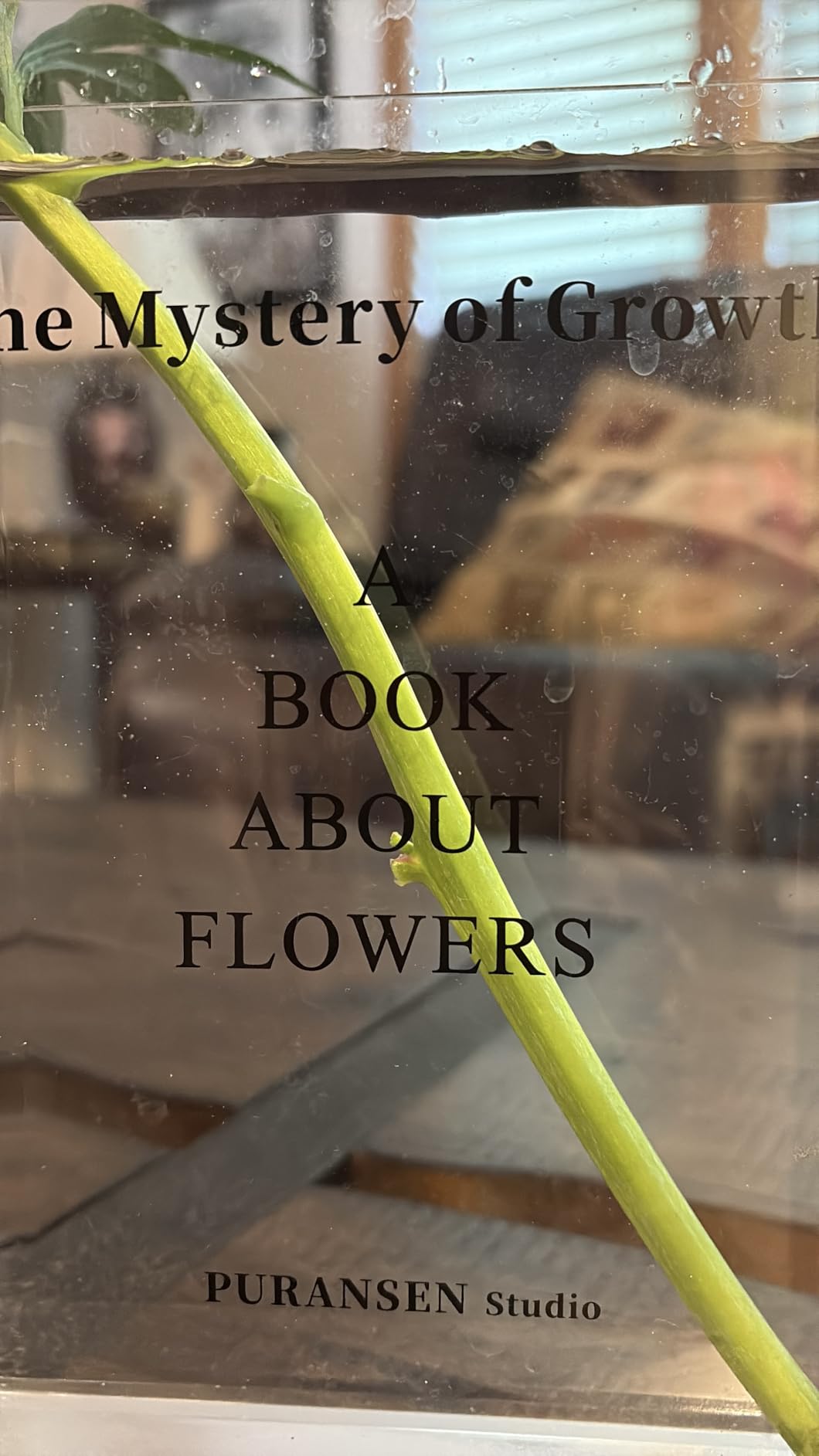 Puransen Clear Book Flower Vase - Floral Bookshelf Decor, Acrylic Flower Holder & Space-Saving Organizer, Modern Home Office/Study Desk Minimalist Aesthetic (Not Including Flowers) customer photo 2