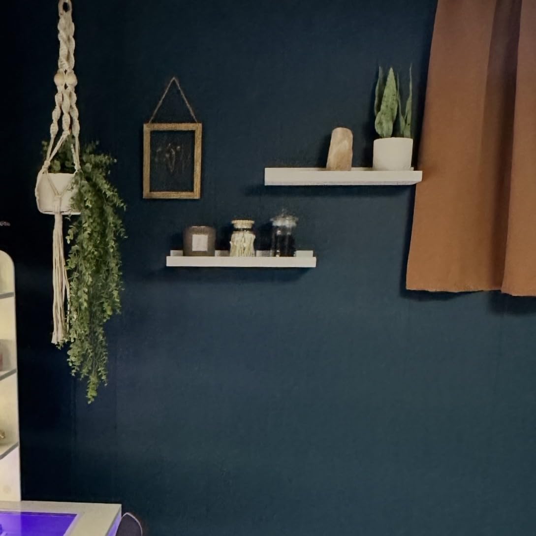 Boswillon Floating Shelves Wall Mounted Set of 2, Modern Black Wall Shelves for Storage with Lip, Display Picture Ledge Shelf for Wall Decor Bedroom Living Room Bathroom Kitchen customer photo 1